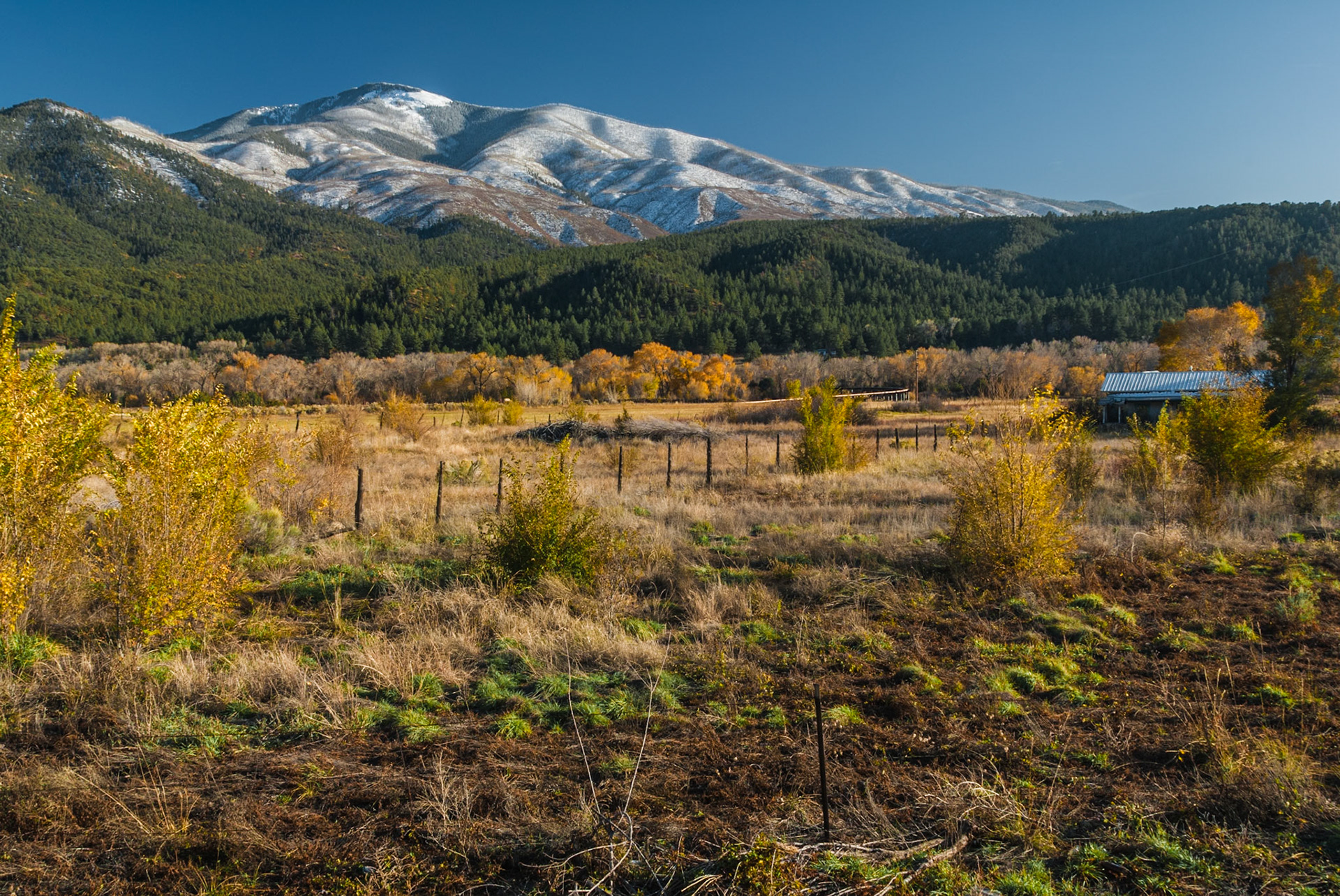 DTGD09196 Flag Mountain, NM