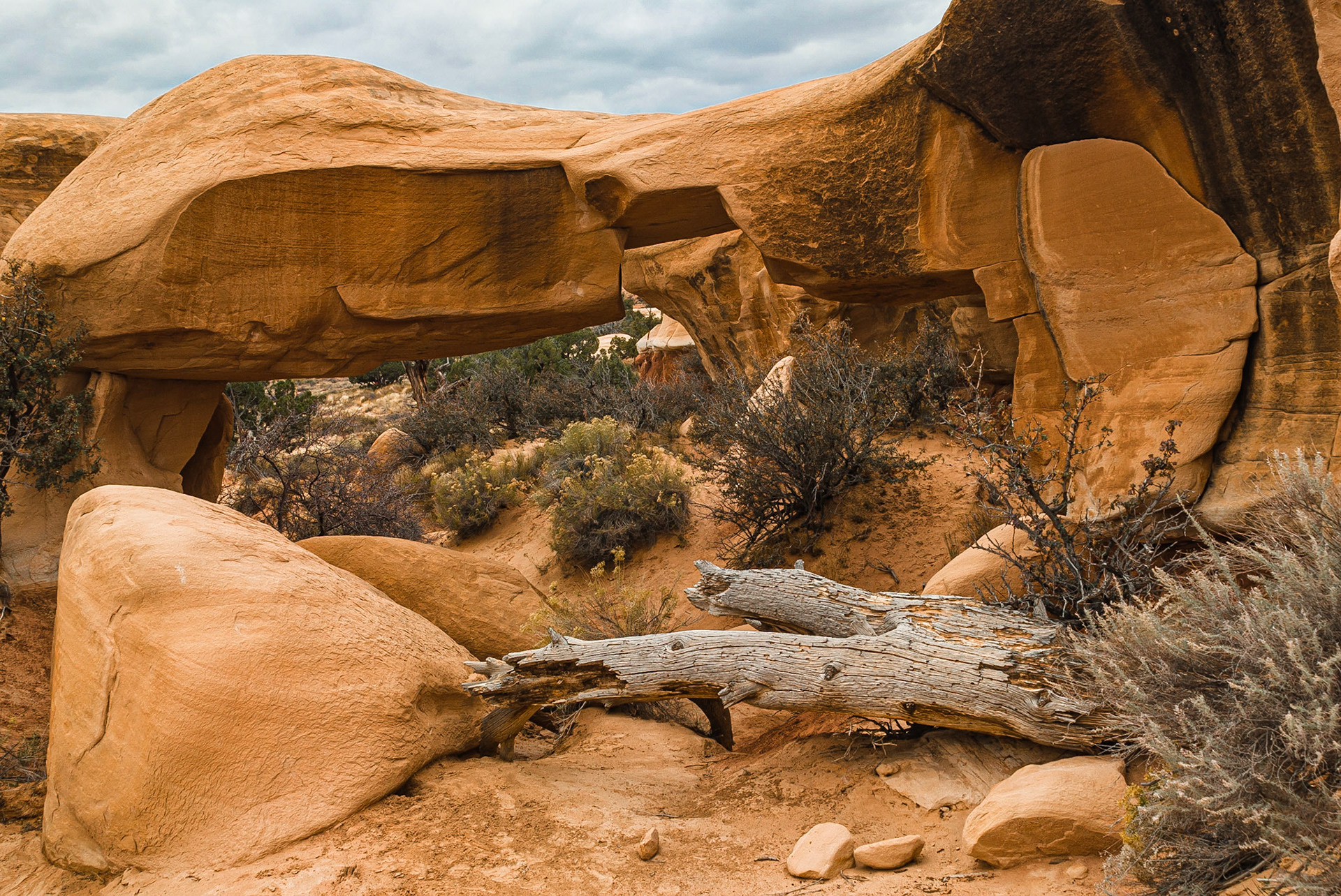 DTGD10424 Mano Arch in Devils Garden off Hole in The Rock Road, Escalante, UT