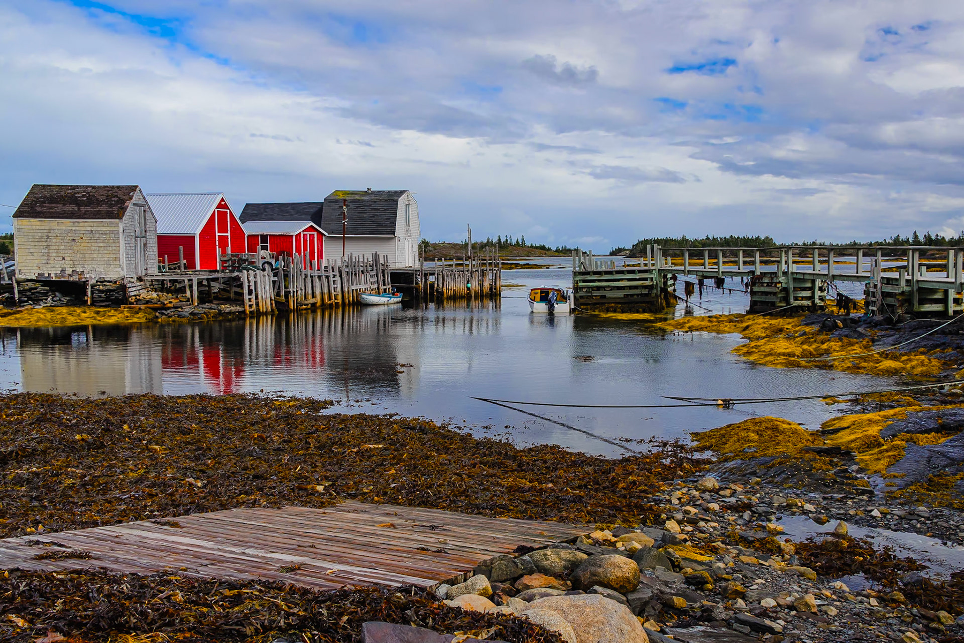DTGD39233-Blue Rocks, tide is out