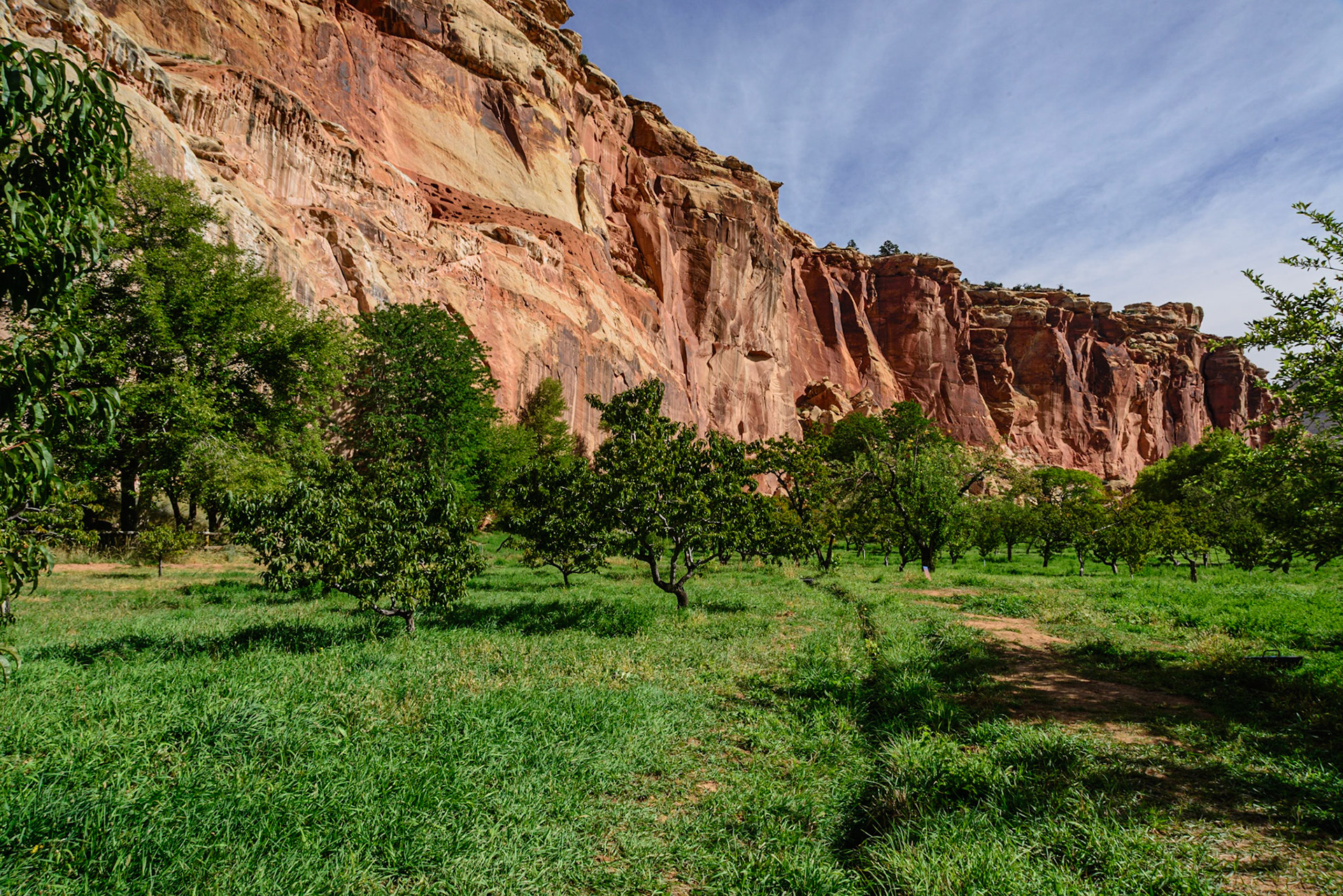 DTGD21945 Fruita, UT