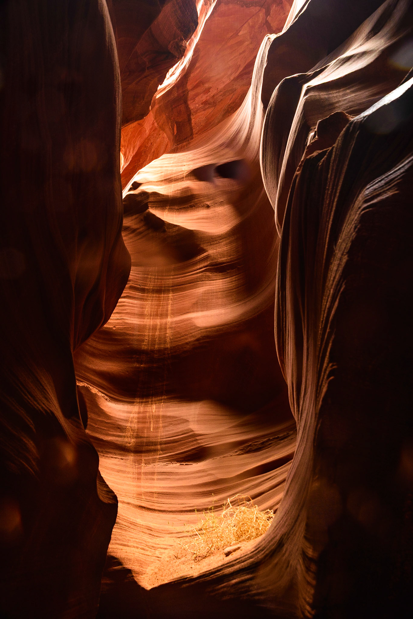 DTGD22666 Secret Canyon