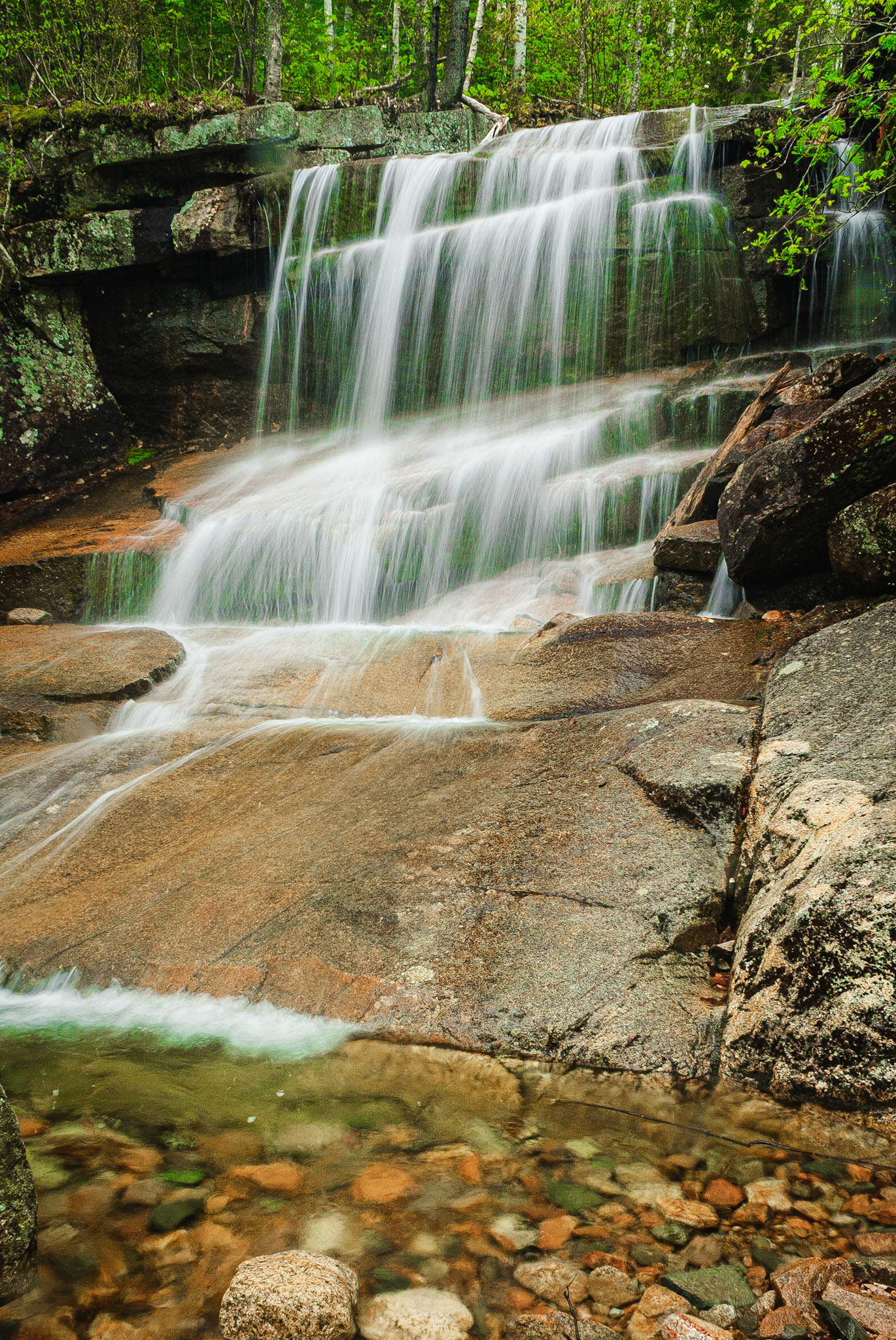 DTGD11854 One of Many Faces of Champney Falls