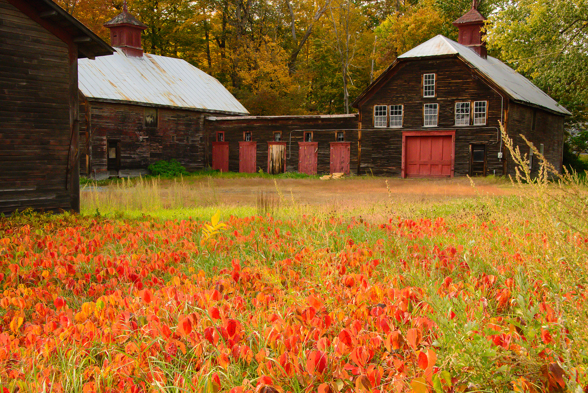 DTGD33570 Vermont Farm Buildings