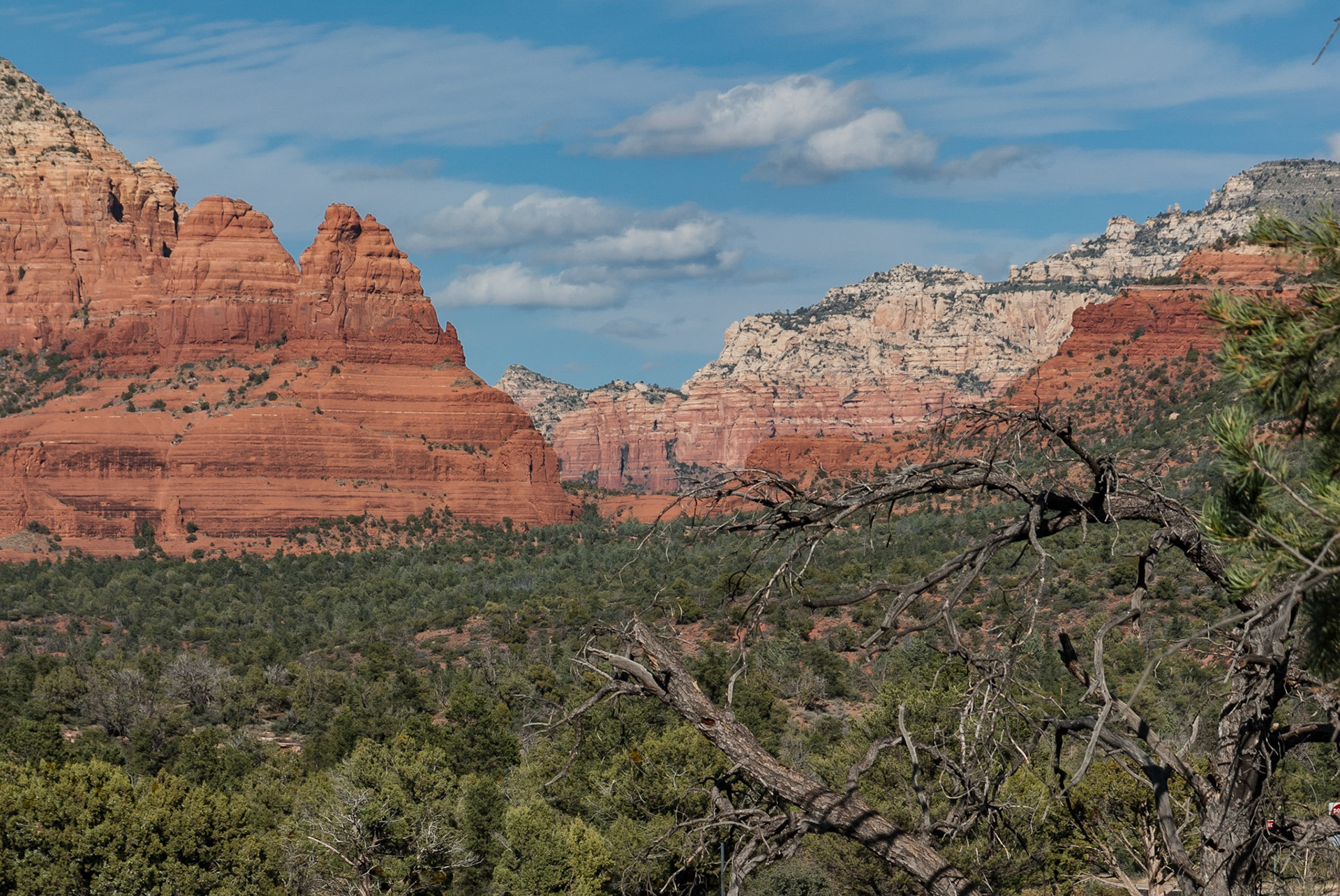 DTGD11640 Red Rocks od Sedona
