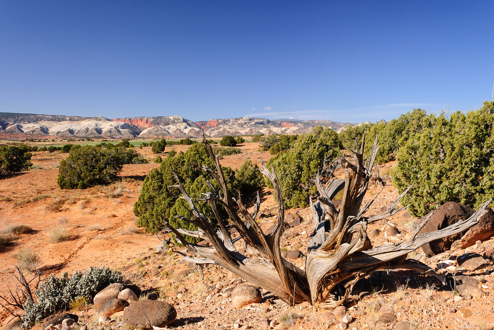 DTGD10001 Looking at Capital Reef Nat'l Park from Notom road, UT