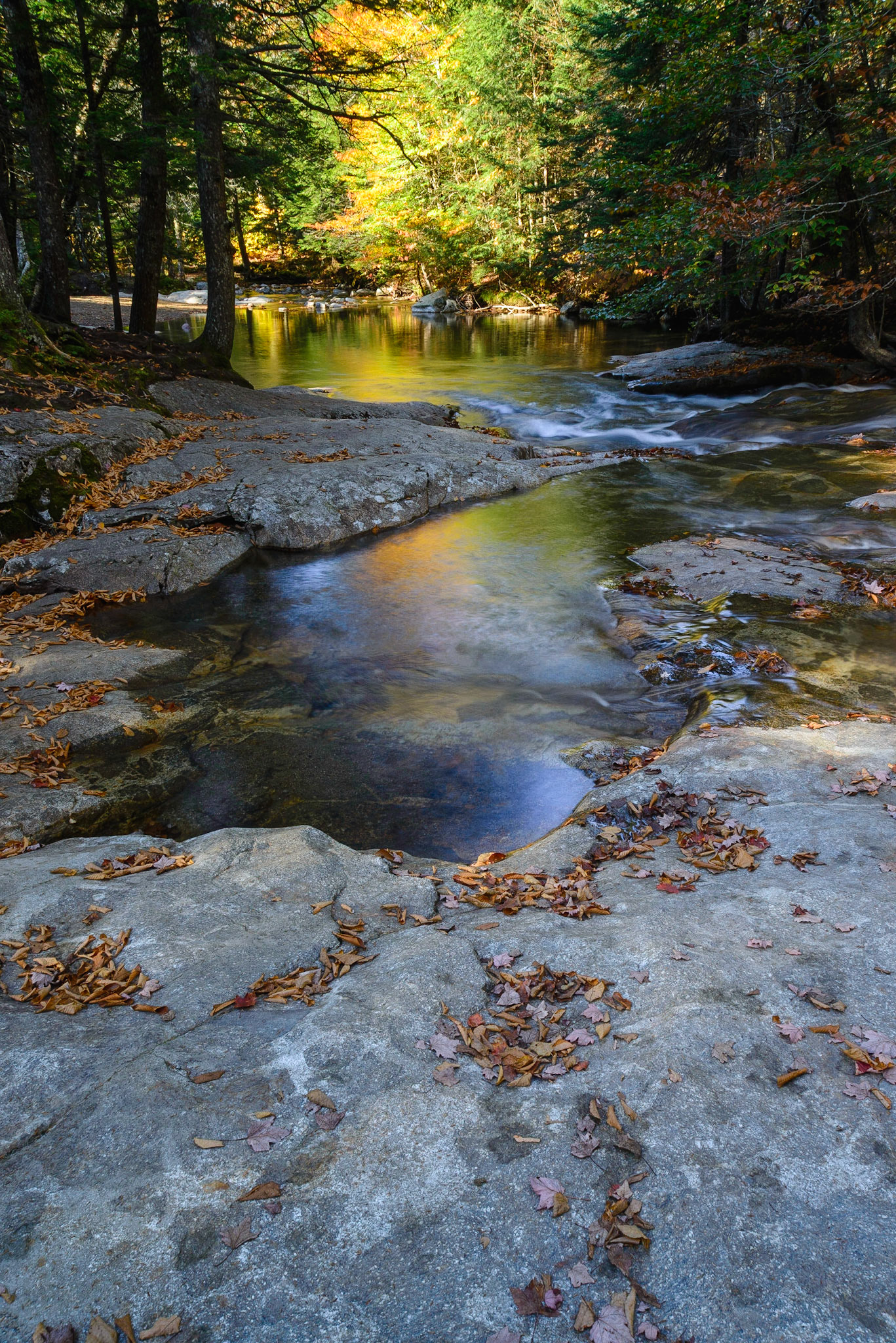 DTGD18553 The Basin, along the Pemi