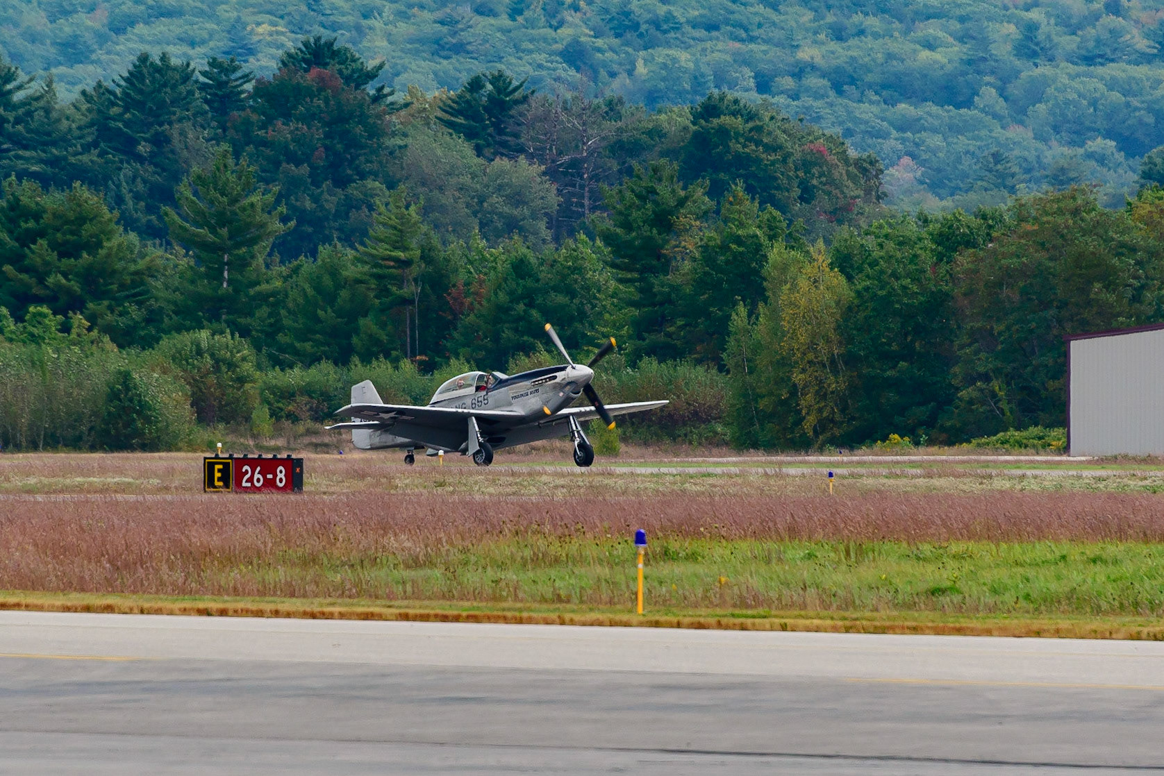 DTGD31491 Wings of Freedom, TP-51D