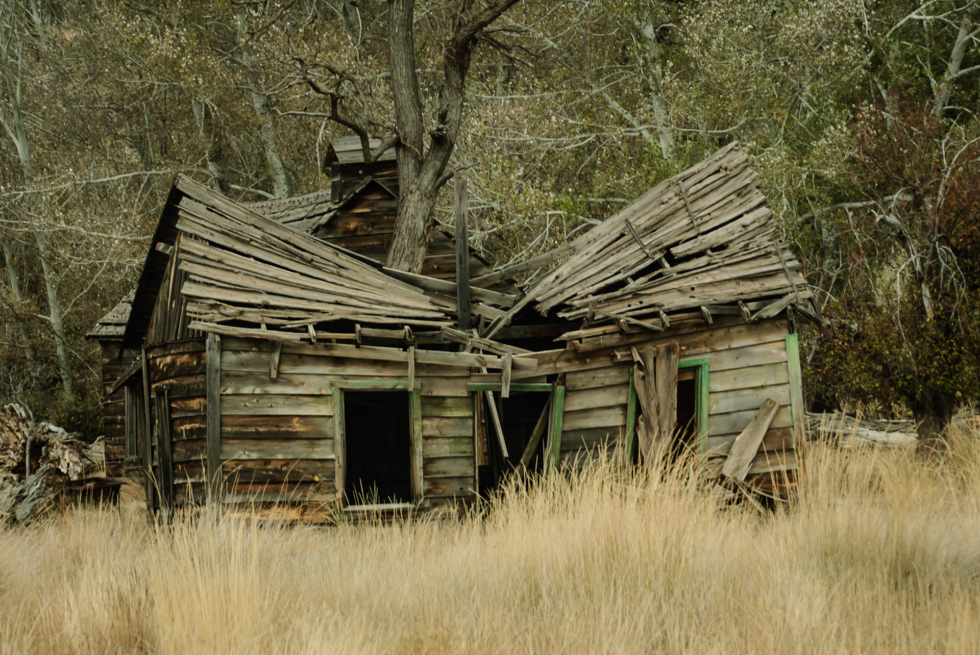 DTGD11215 Johnson Canyon, Gunsmoke Movie Set