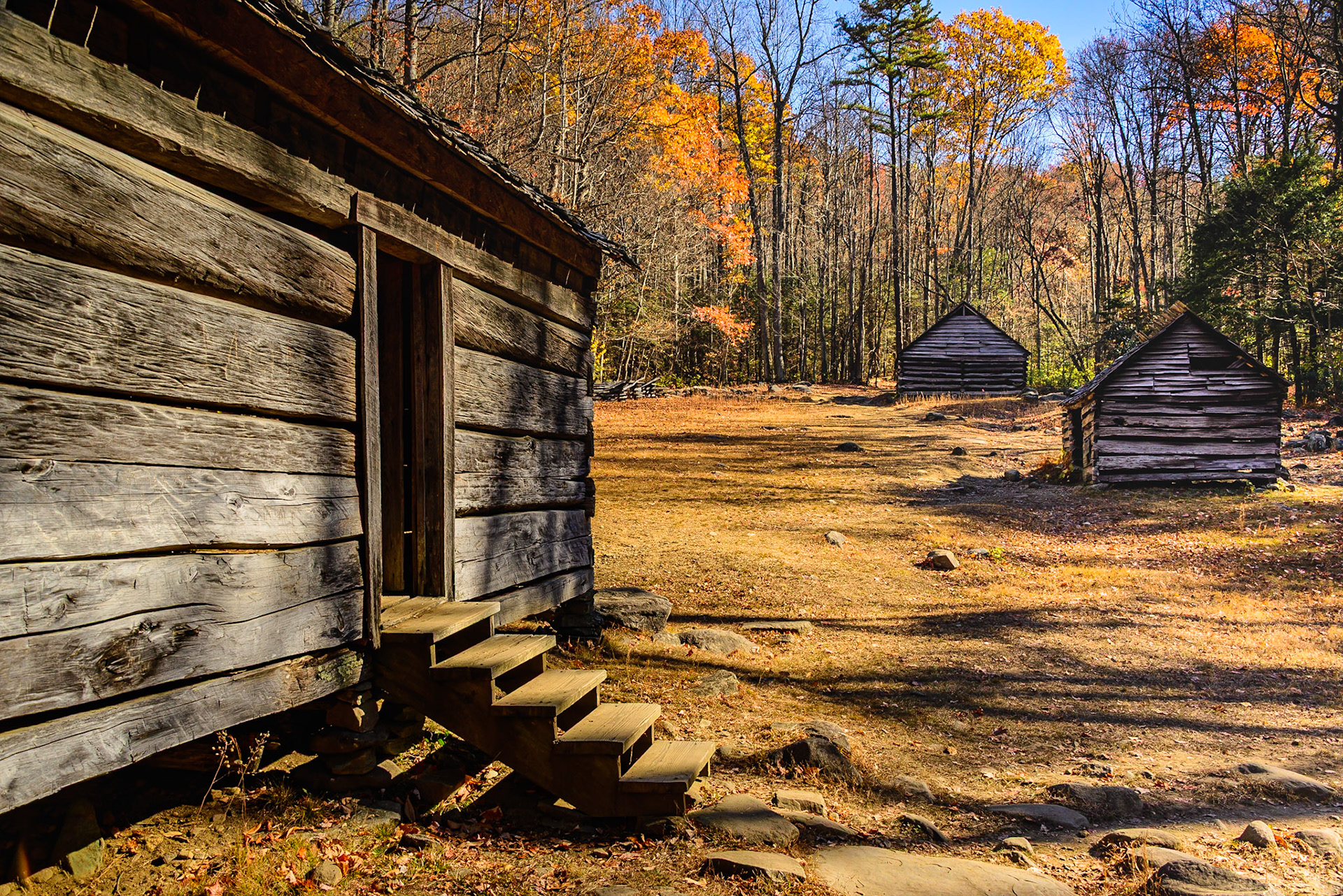 DTGD25329 Alex Cole Cabin Farm