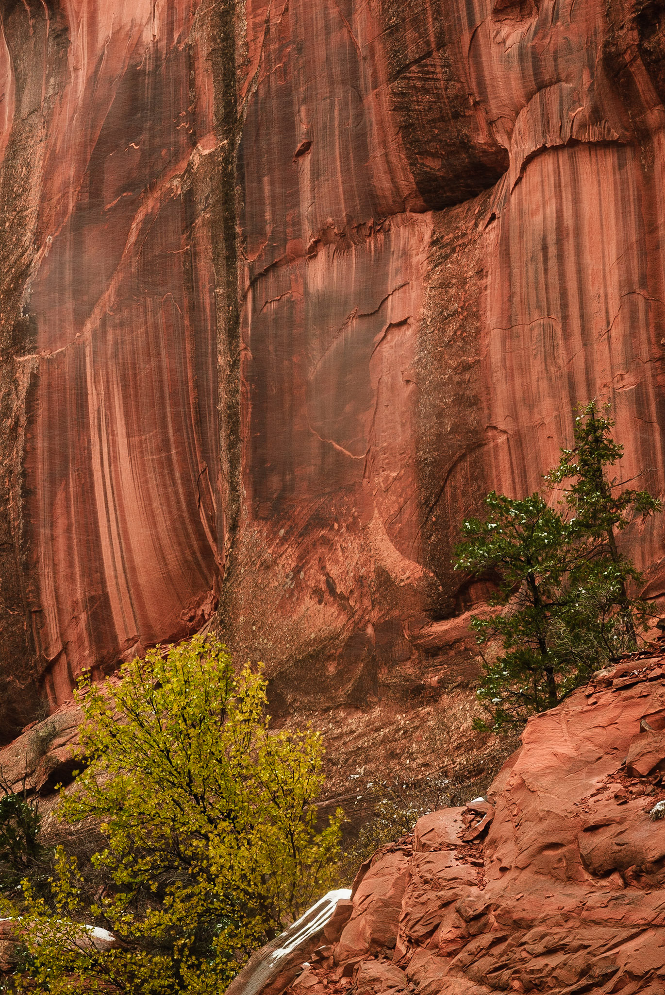DTGD10552 Canyon Wall, Long Canyon,Burr Trail Road, UT
