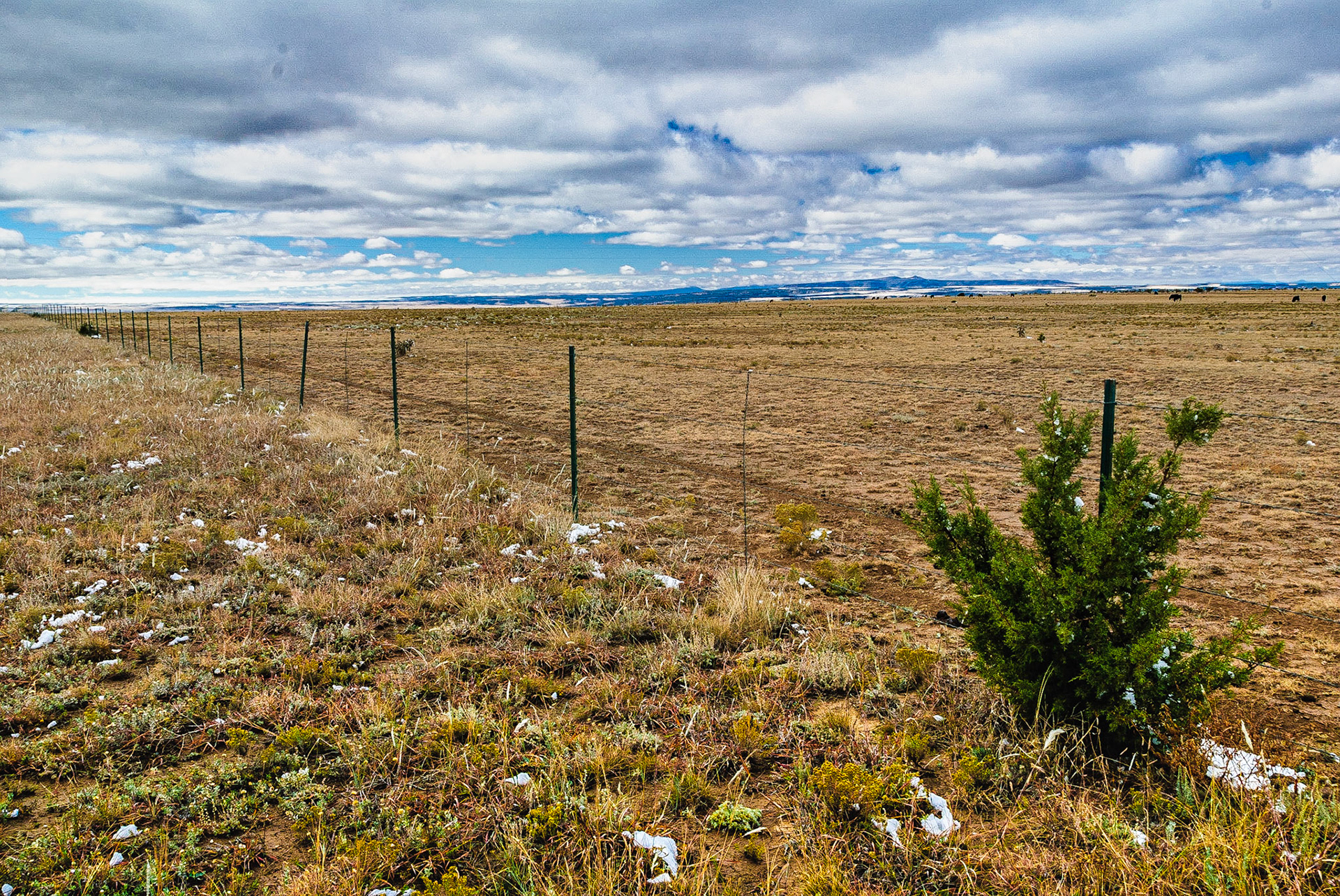 DTGD08903 Open Plains, Route 39, New Mexico