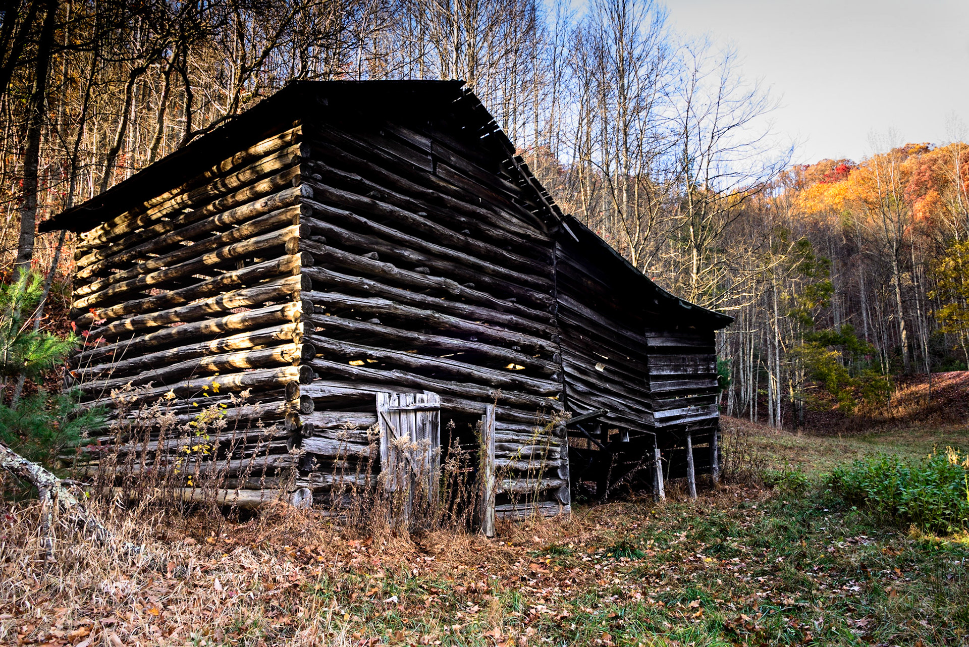 DTGD25655 Old Barn, Madison County, NC