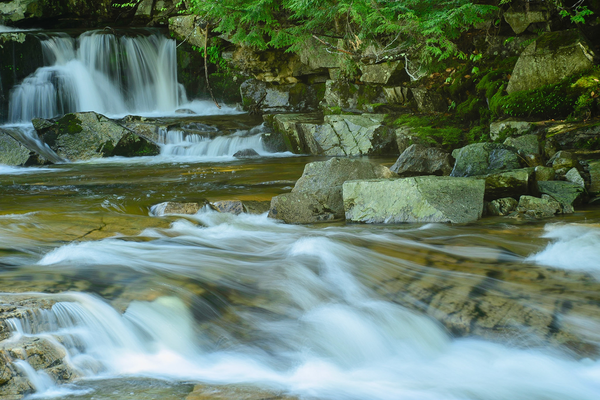 DTGD15207 Part of Jackson Falls, Spring