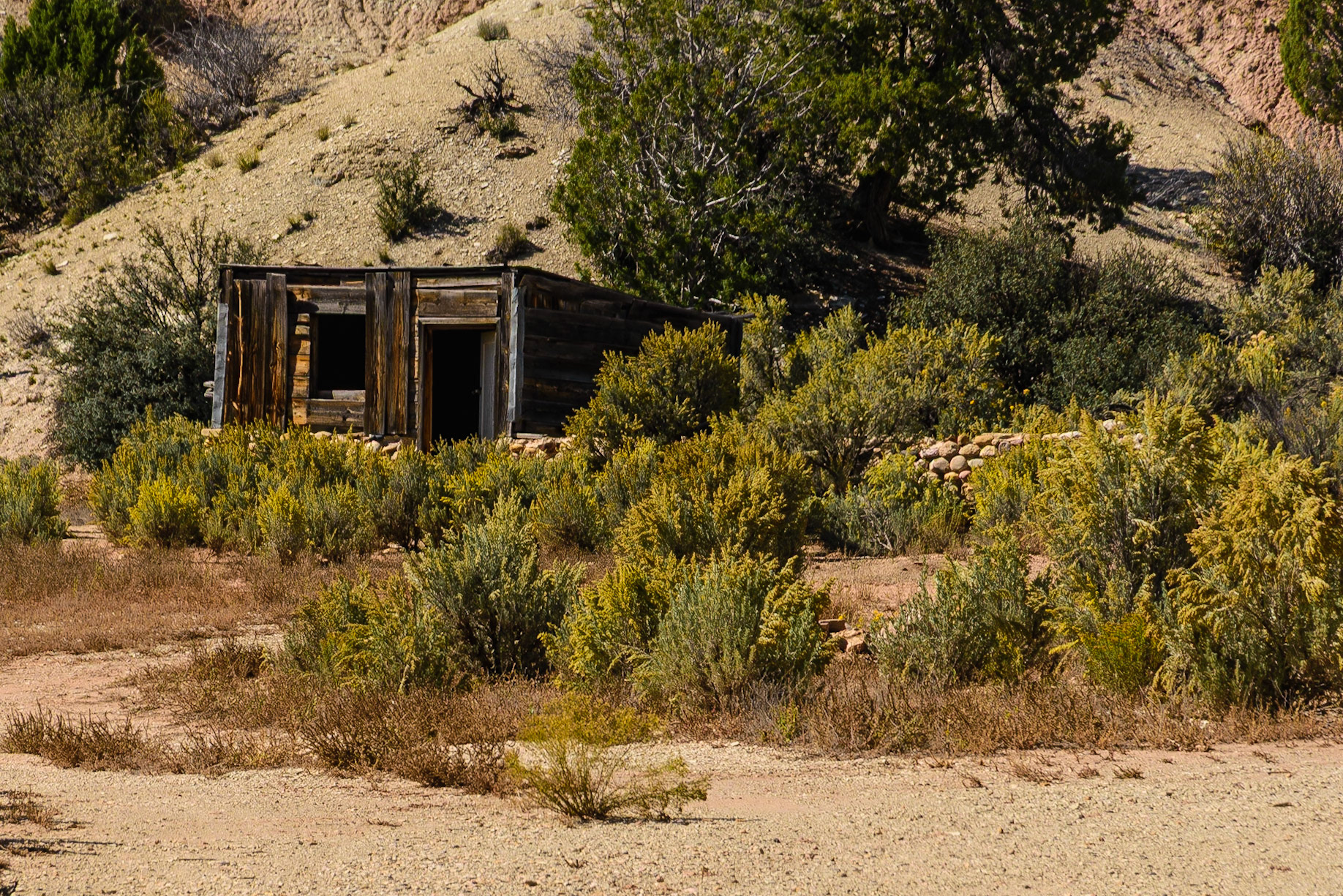 DTGD22055 Old cabin near Kodachrome Basin State Park