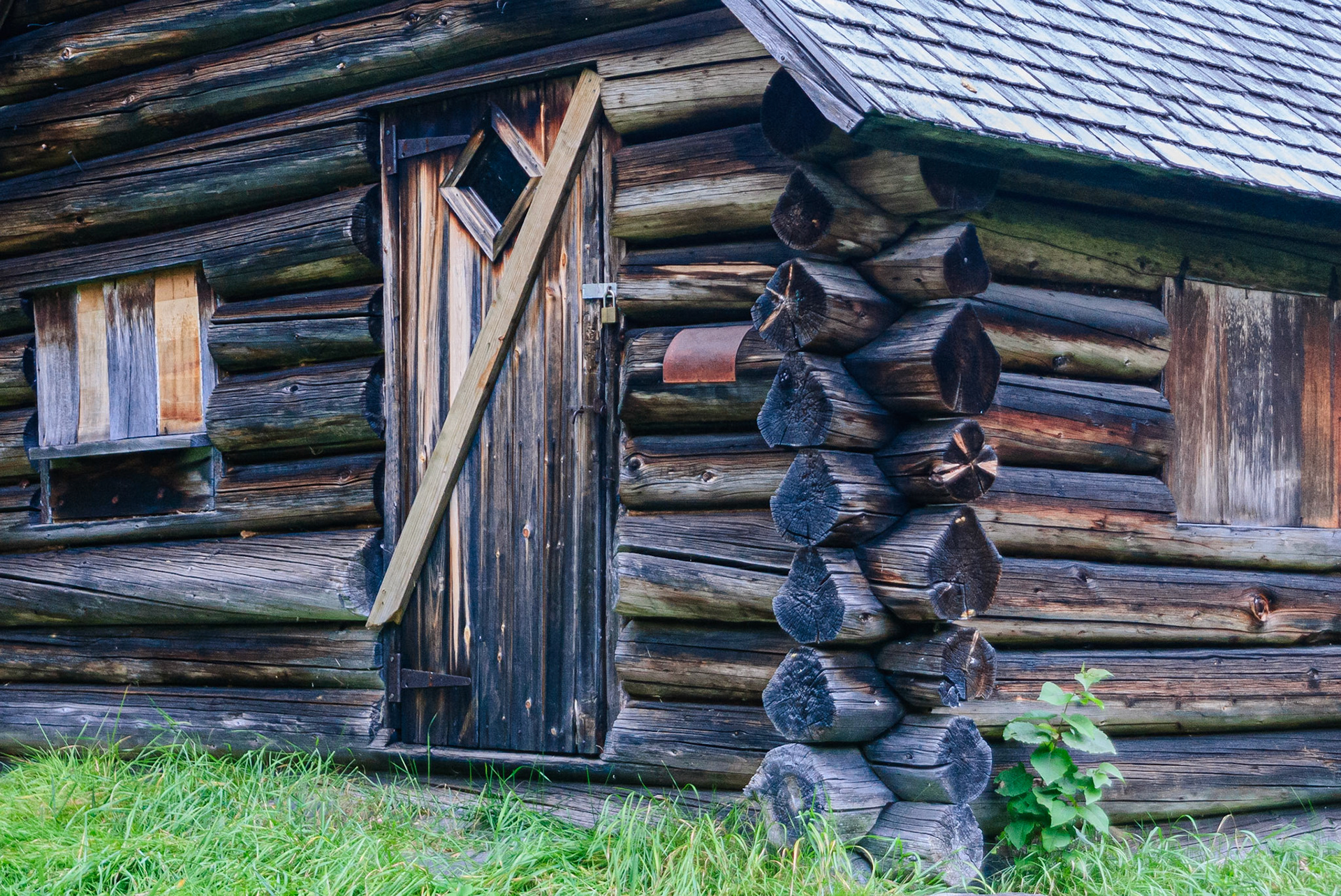 DTGD03559 Old Log Cabin