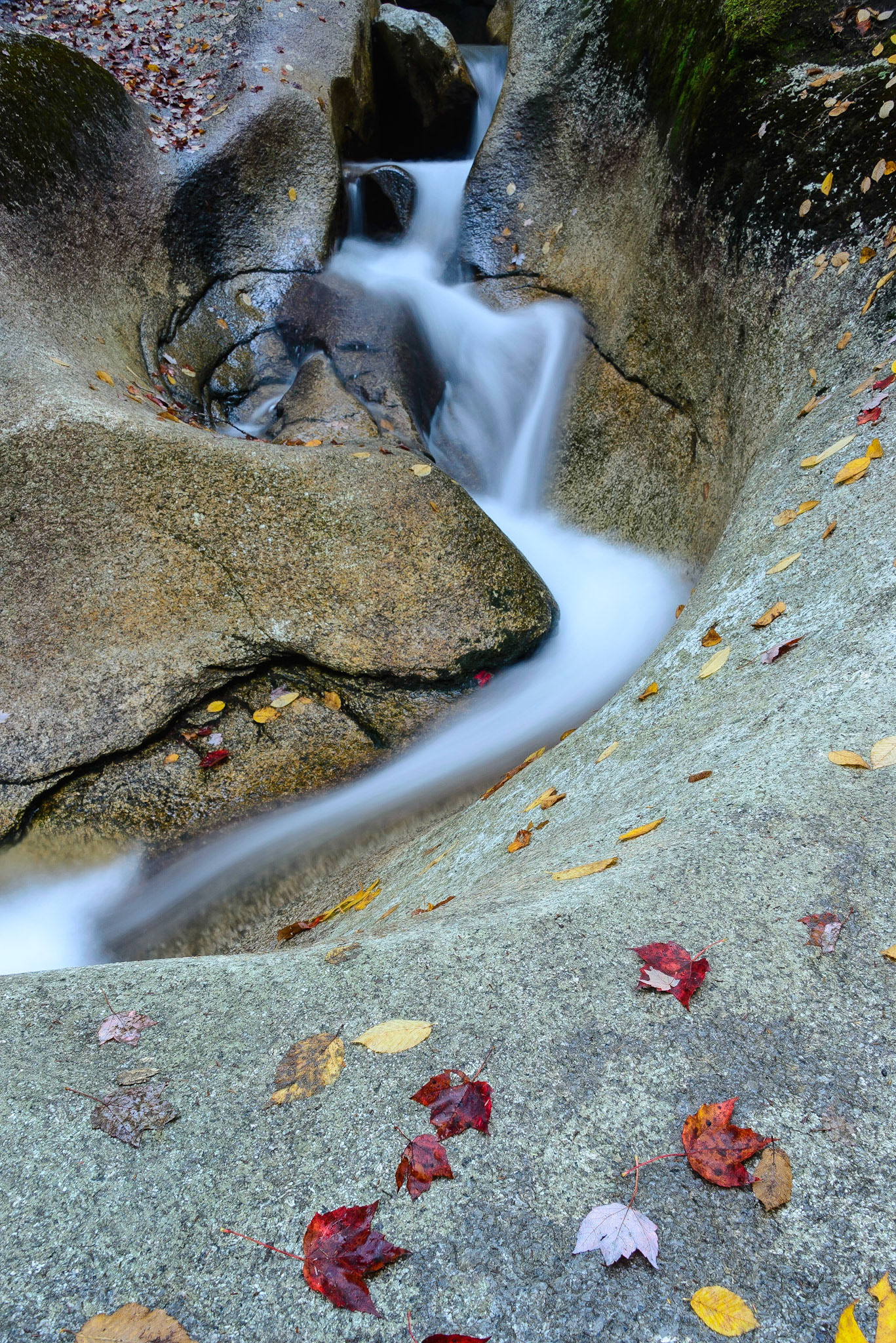DTGD29800 Pemigewasset River
