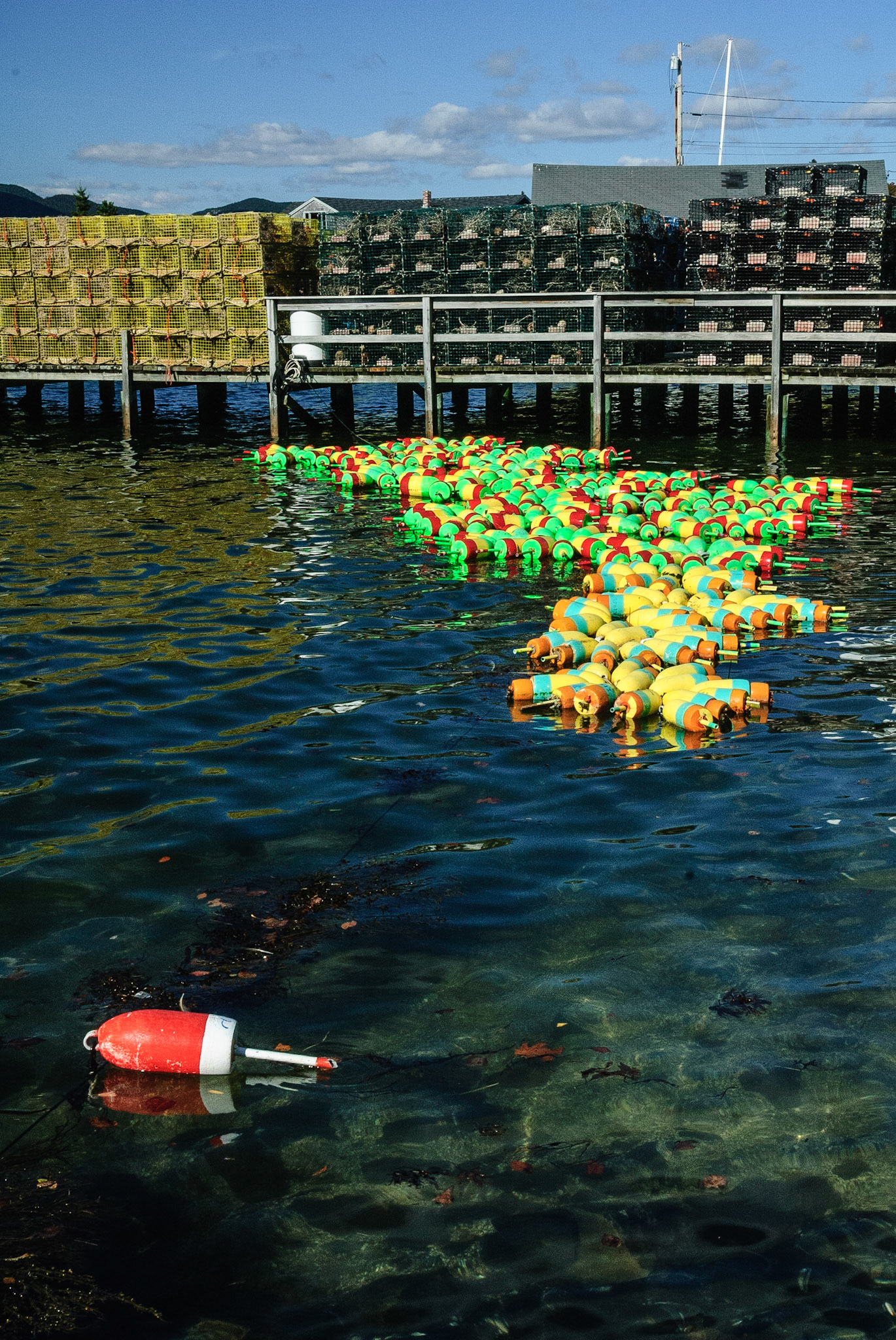 DTGD02344 Floating Lobster Buoys