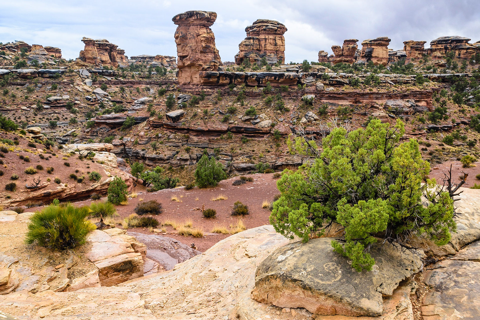 DTGD21769 Canyonlands Nat'l park in the Needles area on rainy day.
