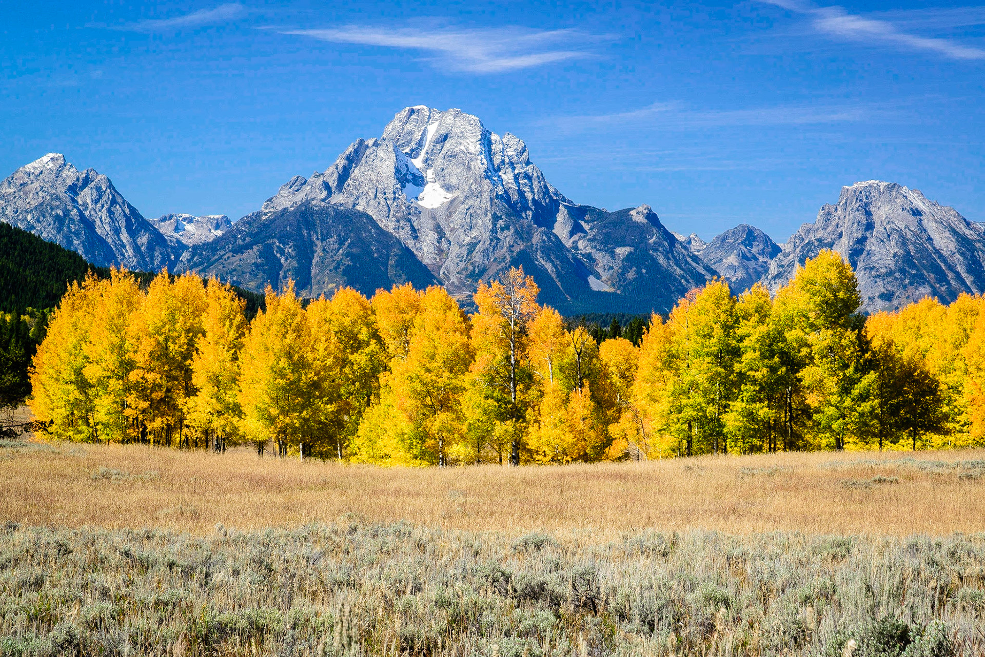 DTGD21111 Teton Fall Color
