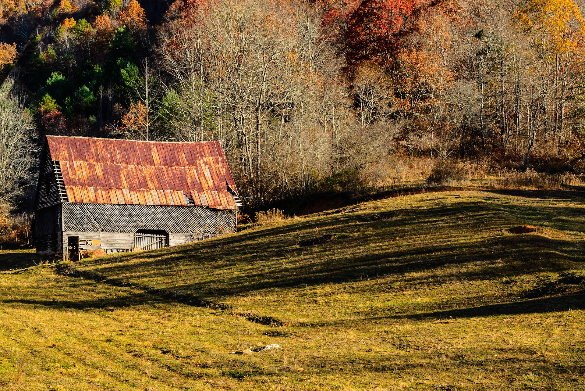 DTGD25405 Big John Metcalf Barn