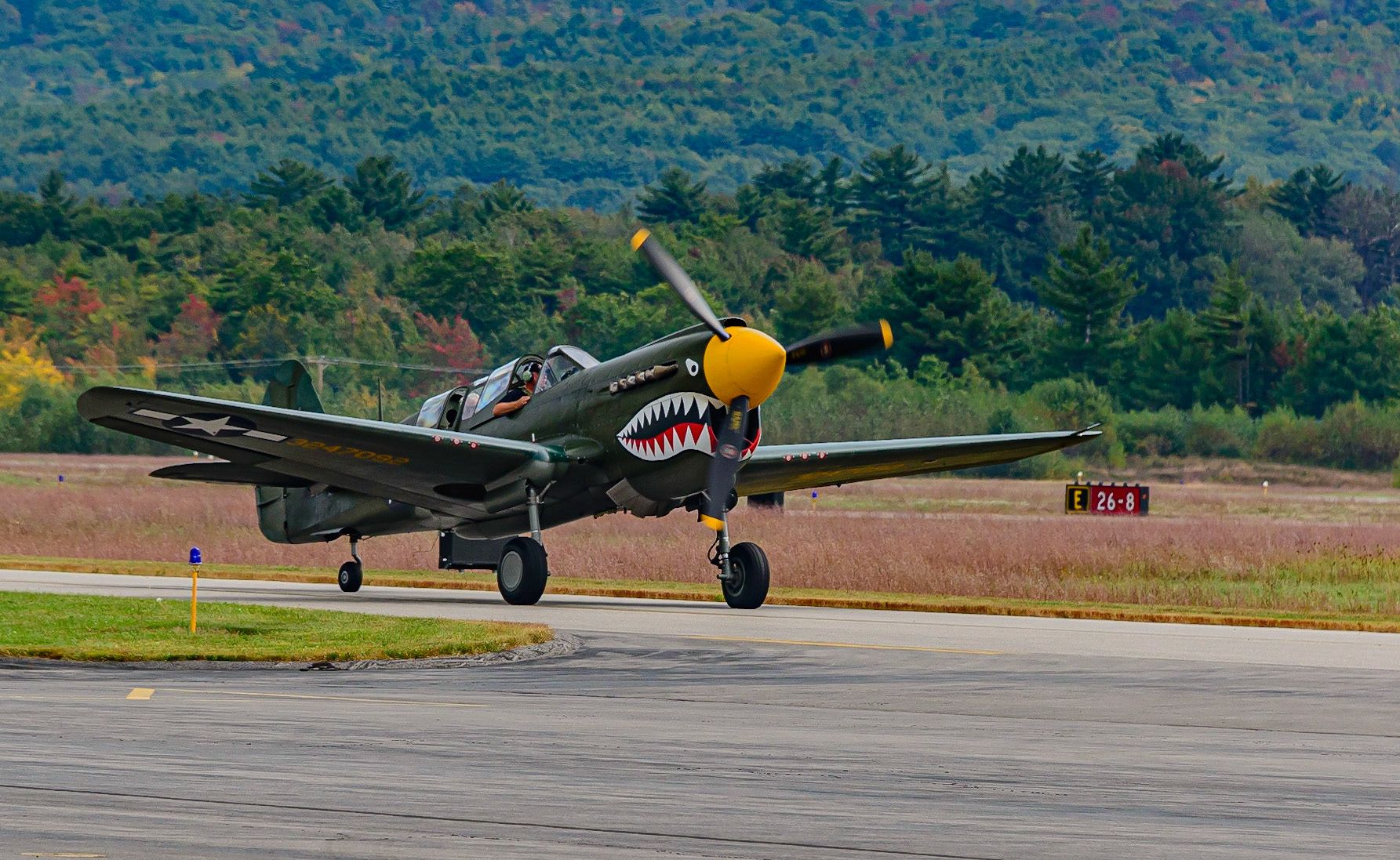 DTGD31469 Wings of Freedom, P-40N Warhawk