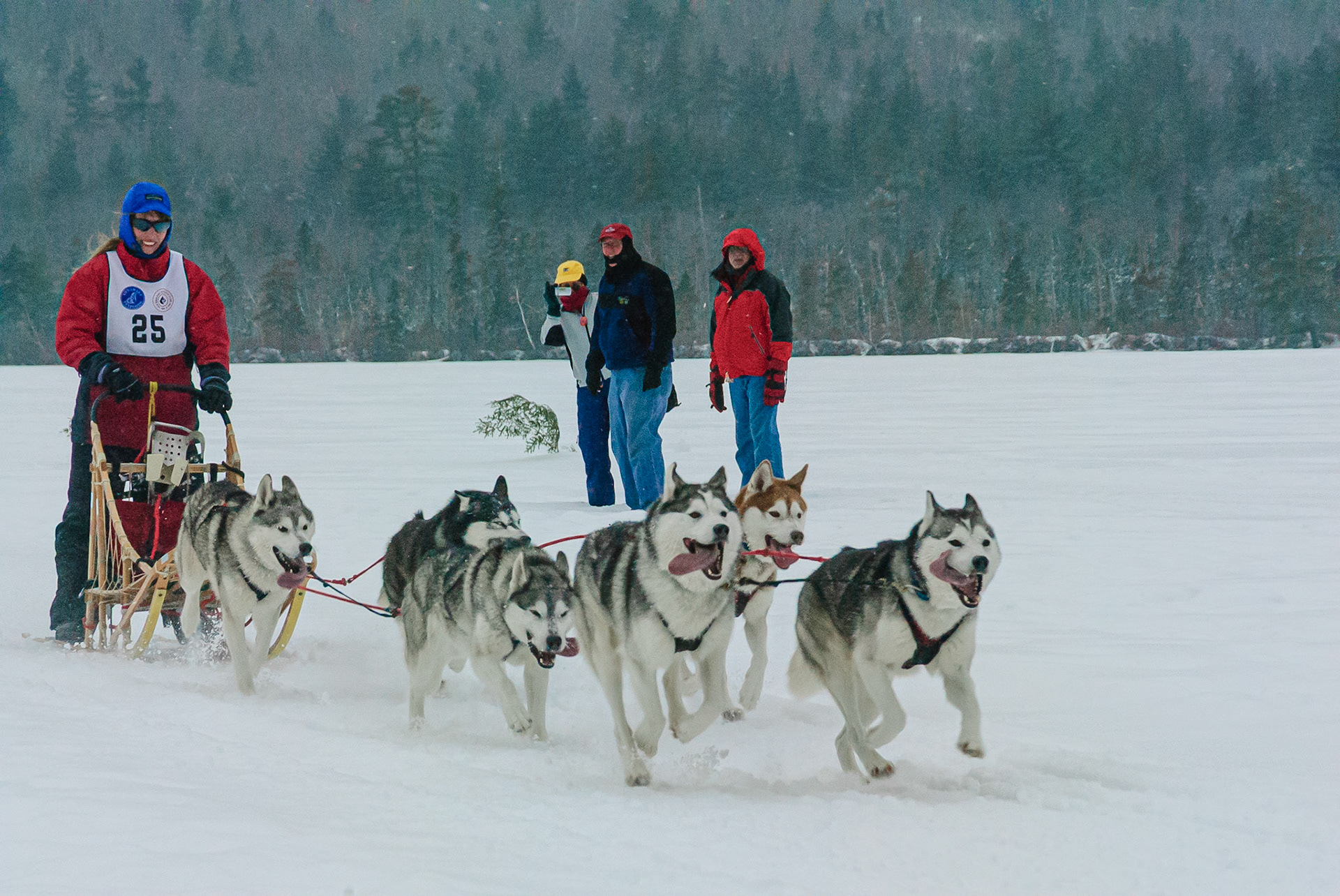 DTGD01328 Sled Dog Races, 2008