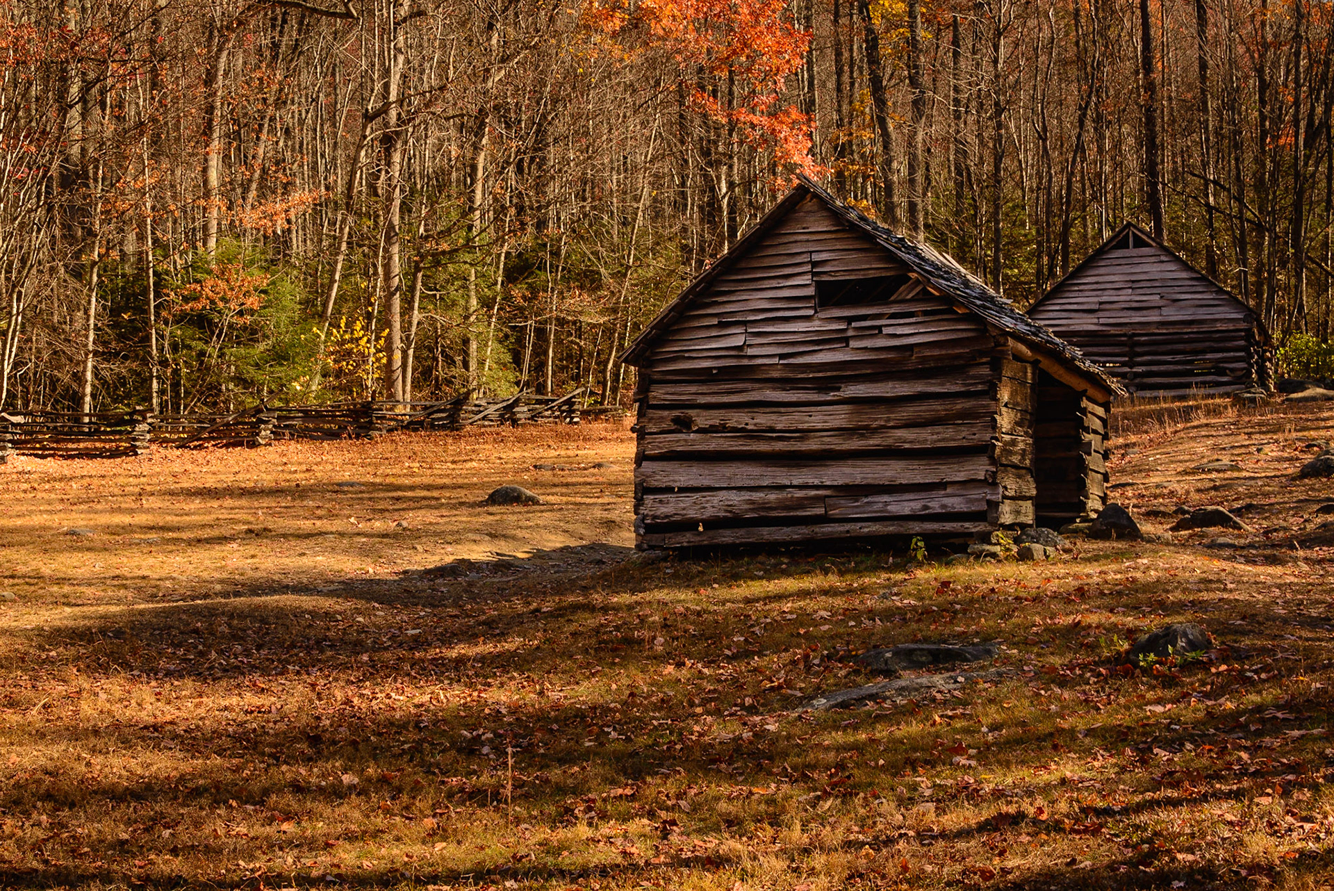 DTGD25323 Alex Cole Cabin Farm