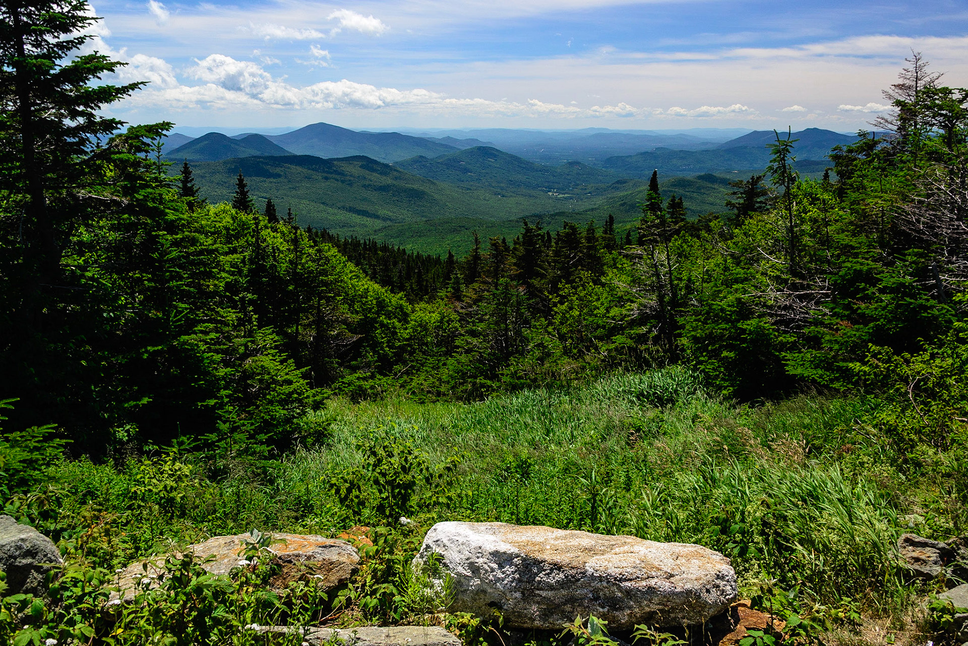 DTGD26787 Looking east from Wildcat Mtn.