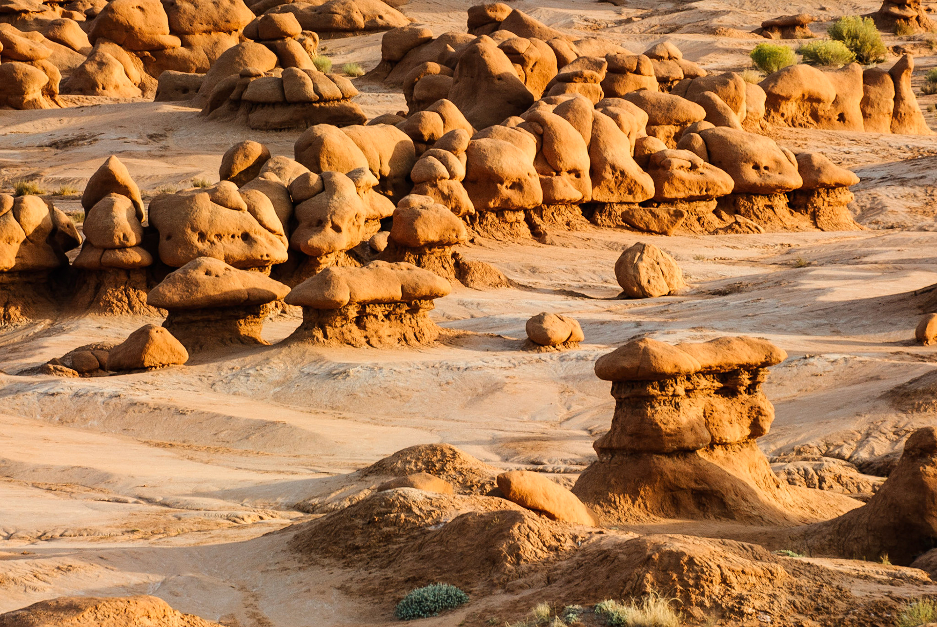 DTGD09911 The fascinating hoodos of of Gobblin State Park.