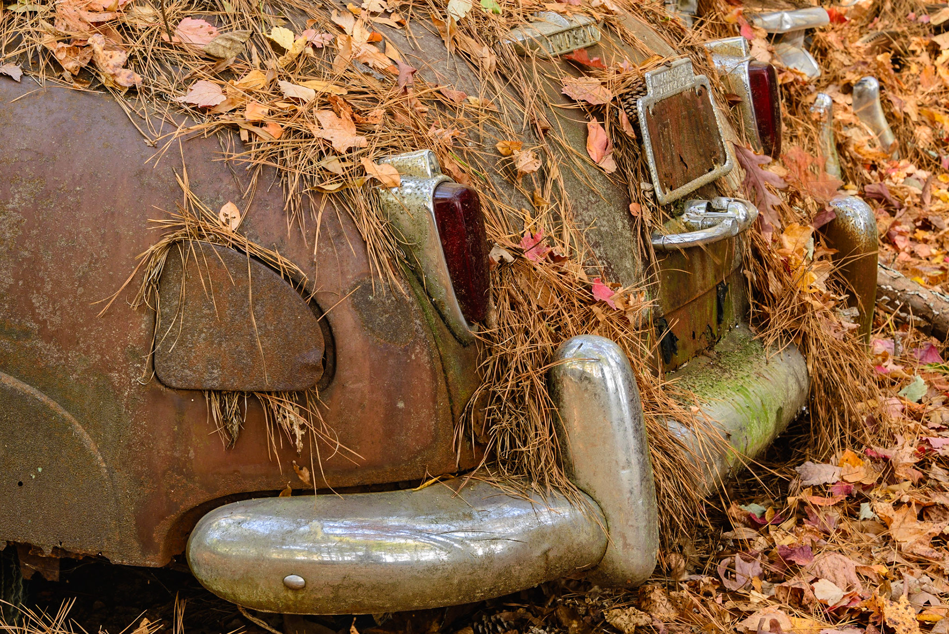 DTGD25707-Old Car City, '51 Hudson