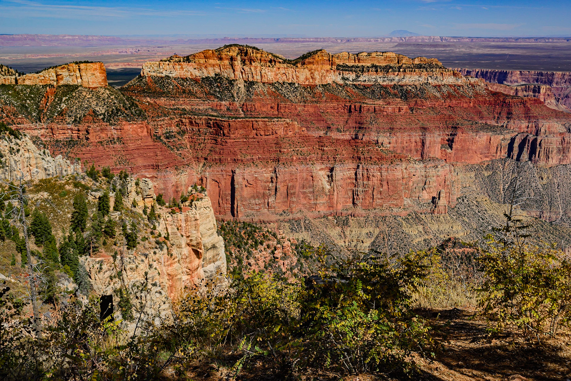 DTGD22390 Grand Canyon, North Rim