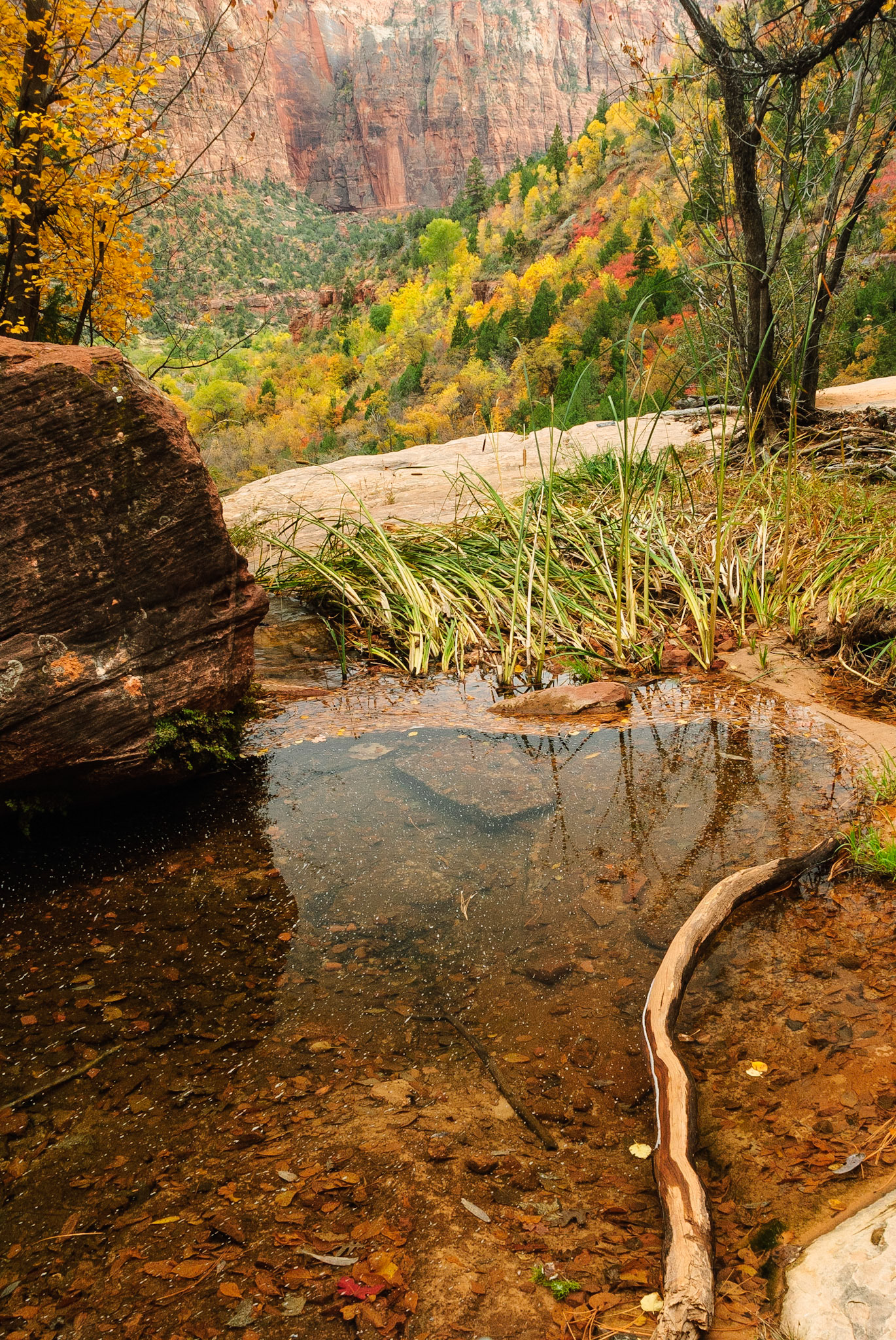 DTGD11033 Middle Emerald Pool, Zion Nat'l Park