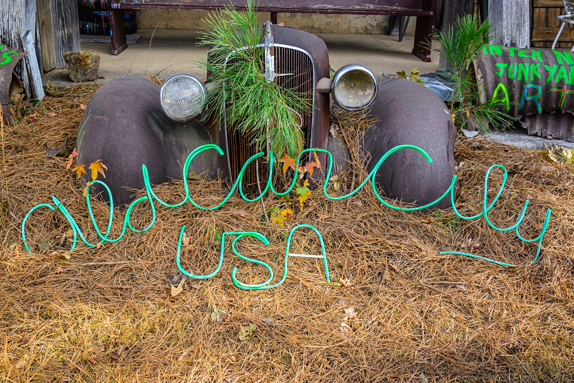 DTGD25831-Old Car City, GA