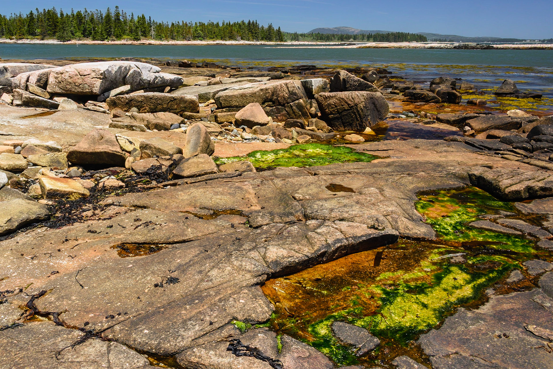 DTGD26300 Maine Coast