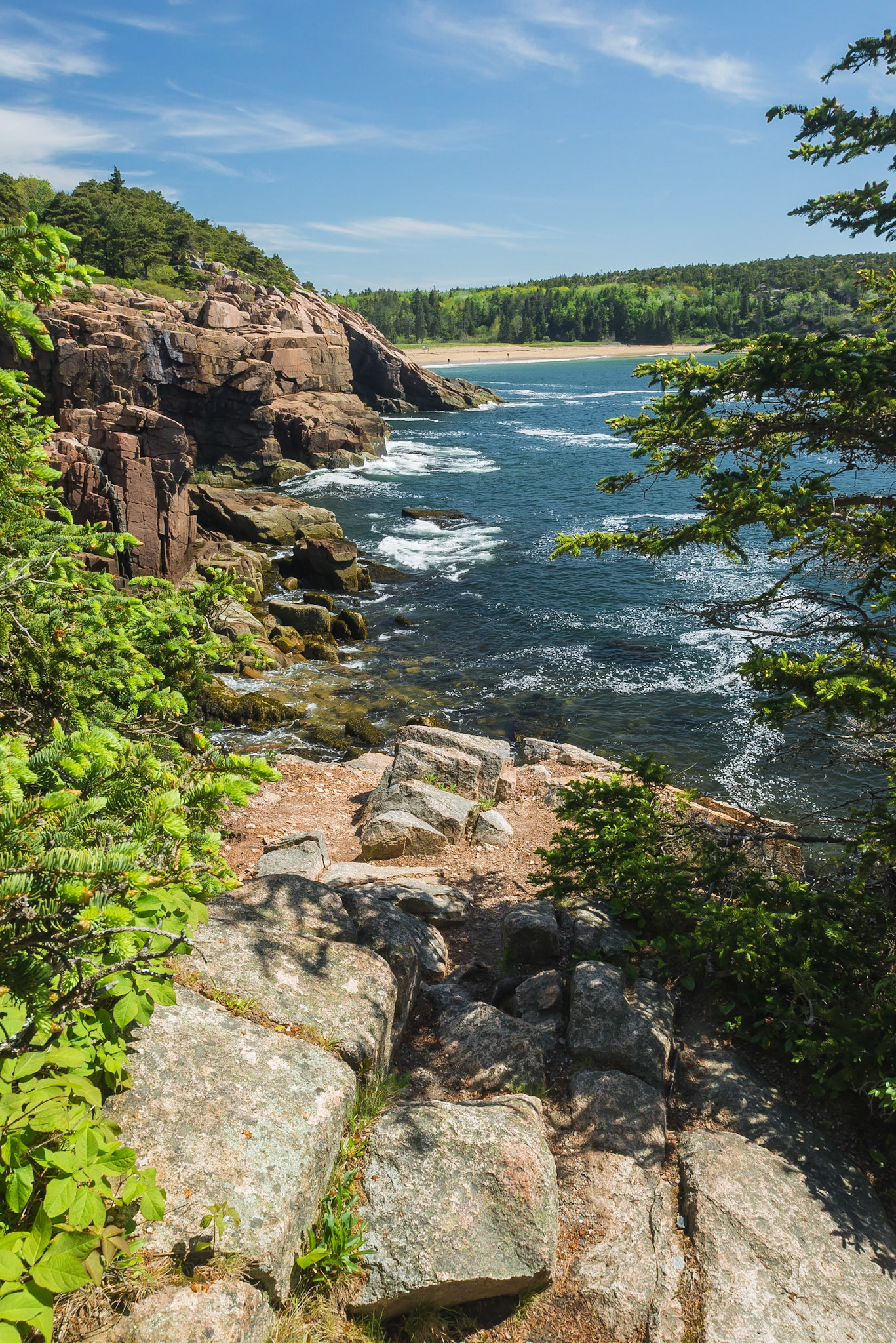 DTGD17408 Looking at Sand Beach, Acadia, ME