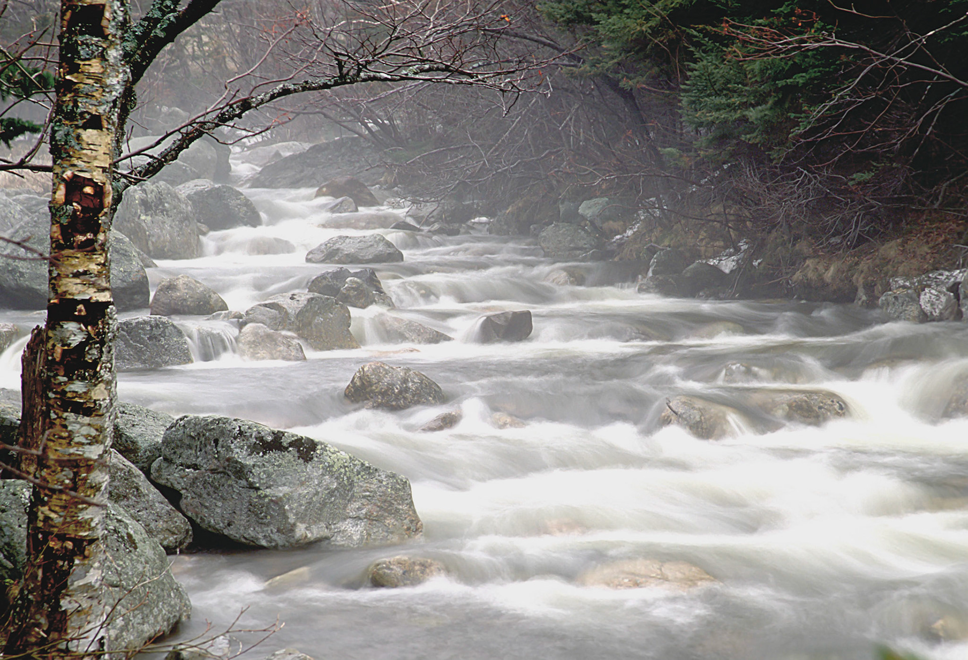DTG00022 Ellis River in Early Spring