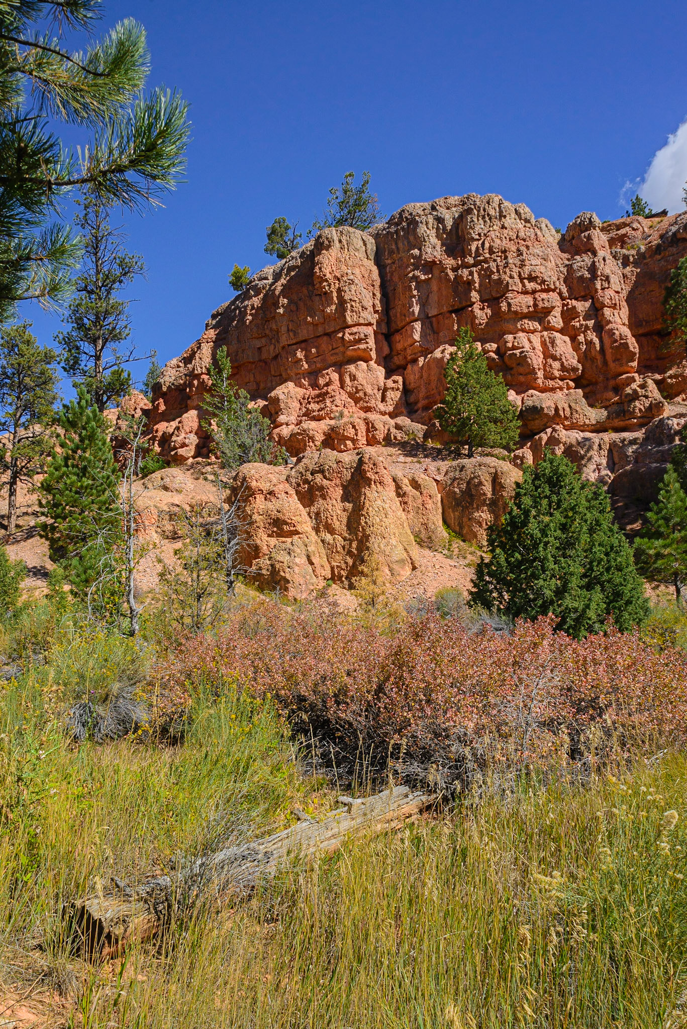 DTGD22159 Red Canyon, from FR121