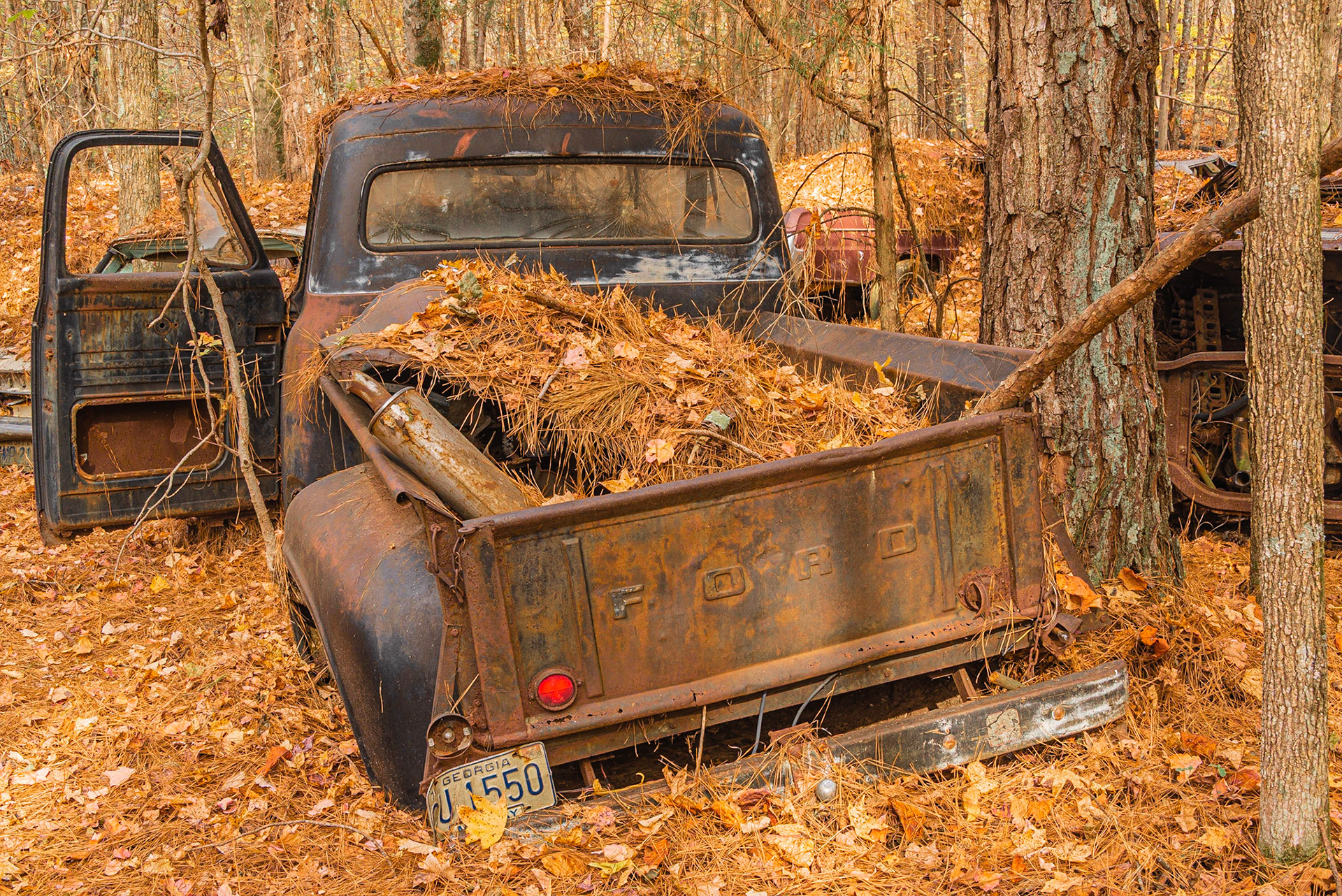 DTGD25732-Old Ford