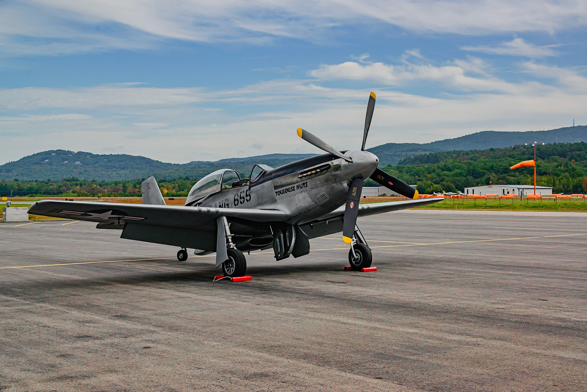 DTGD31516 Wings of Freedom, TP-51D