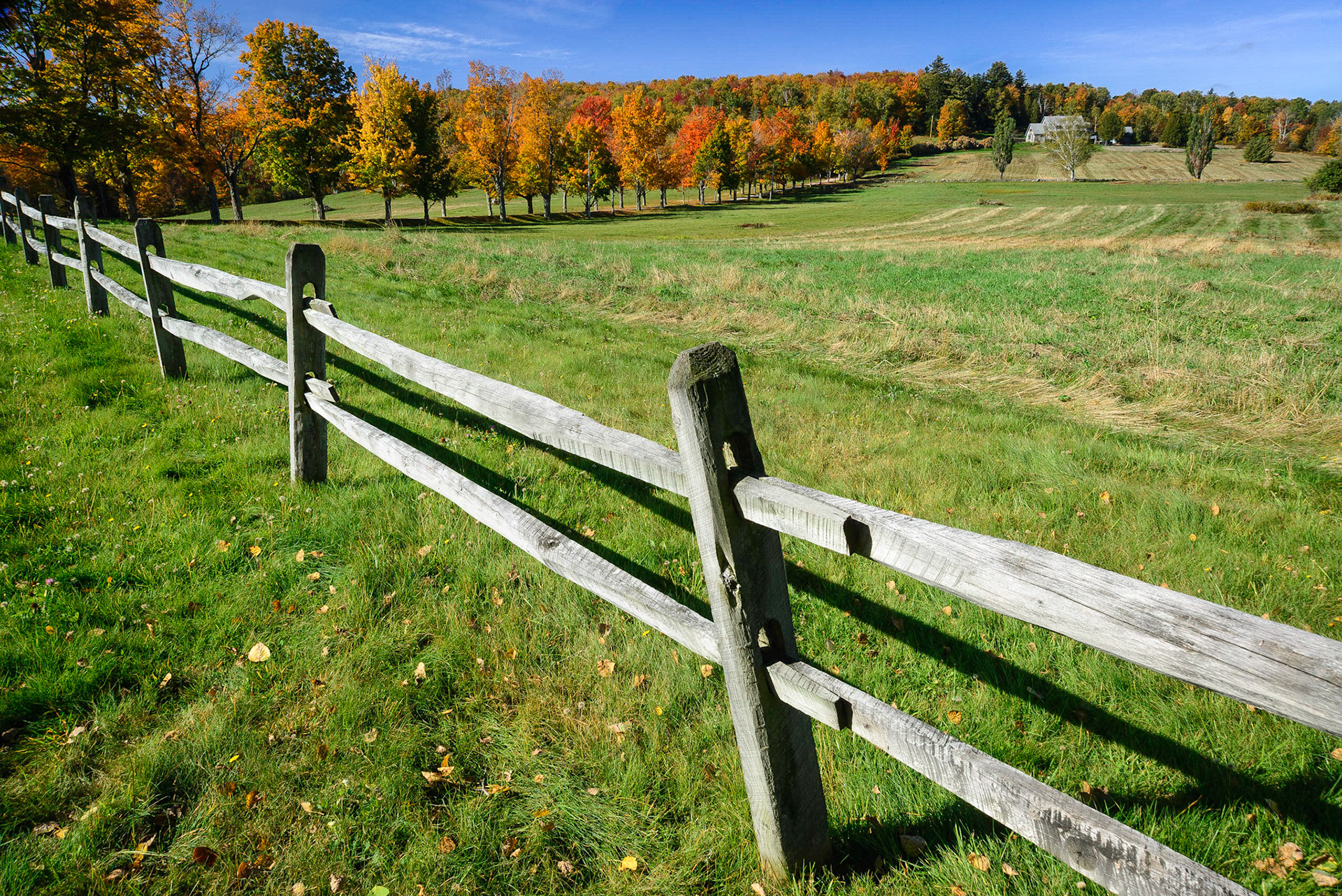DTGD18572 Fall on Lewis Hill Road