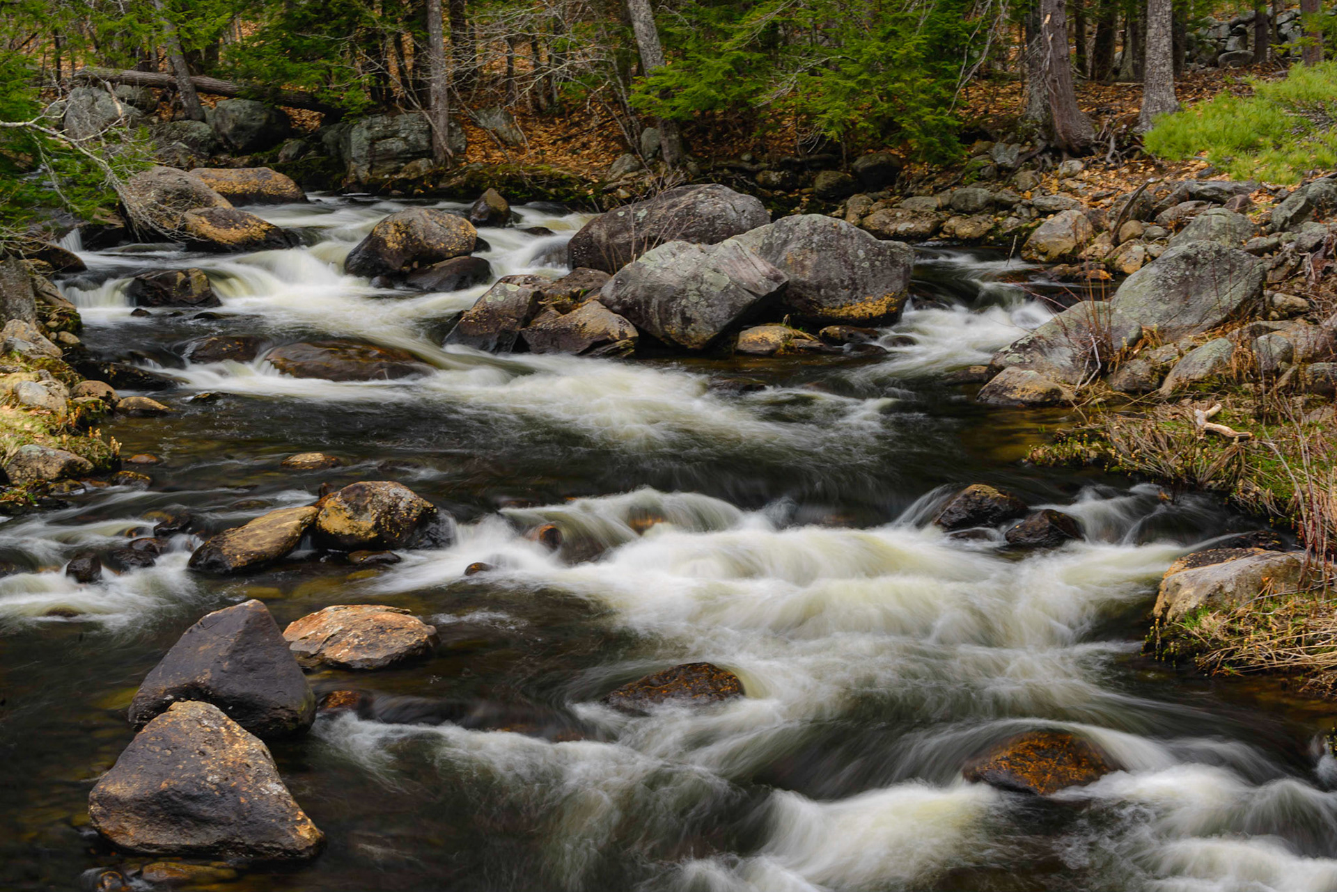 DTGD34332 Smith River