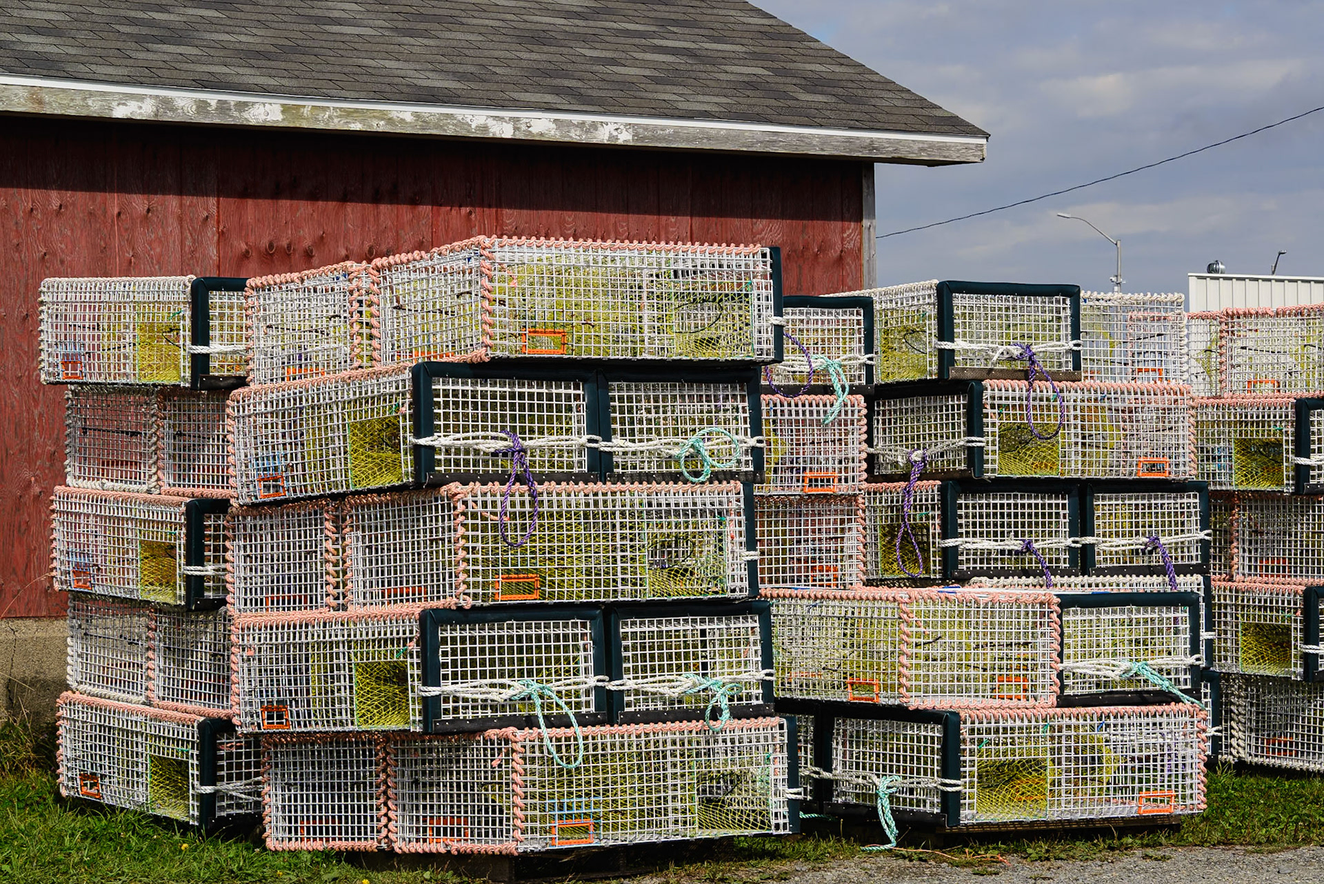 DTGD39028.-New Lobster Traps