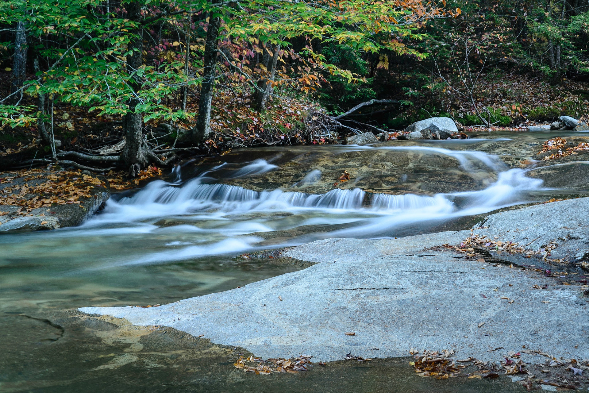 DTGD18478 The Upper Pemiwegasset River in Franconia Notch