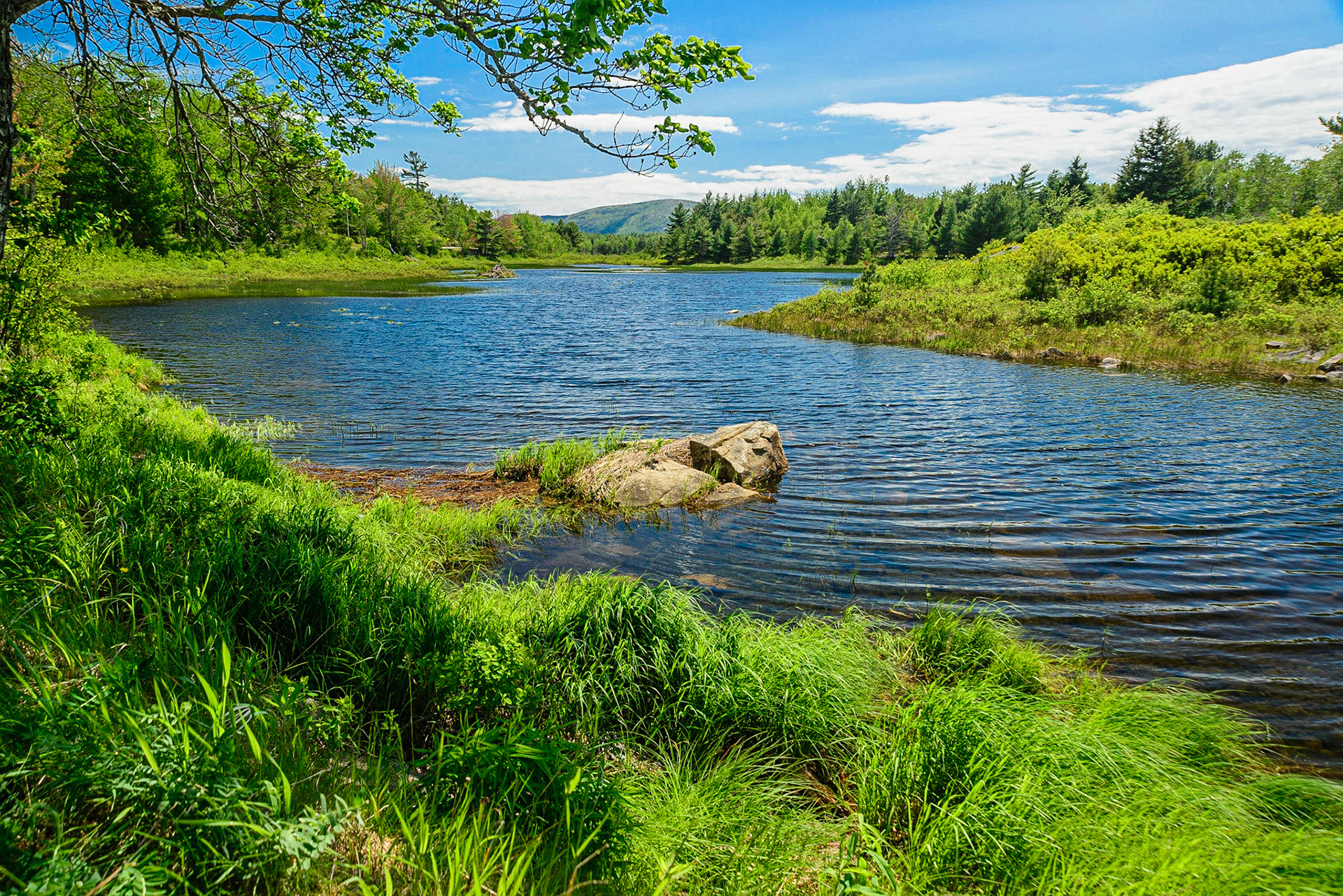 DTGD20414 Duck Brook, Aadia Nat'l Park, ME