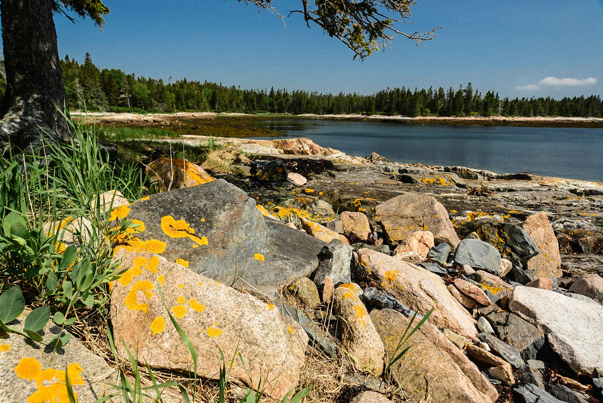 DTGD20486 Bennet Cove from Wonderland Trail, Acadia Nat'l Park
