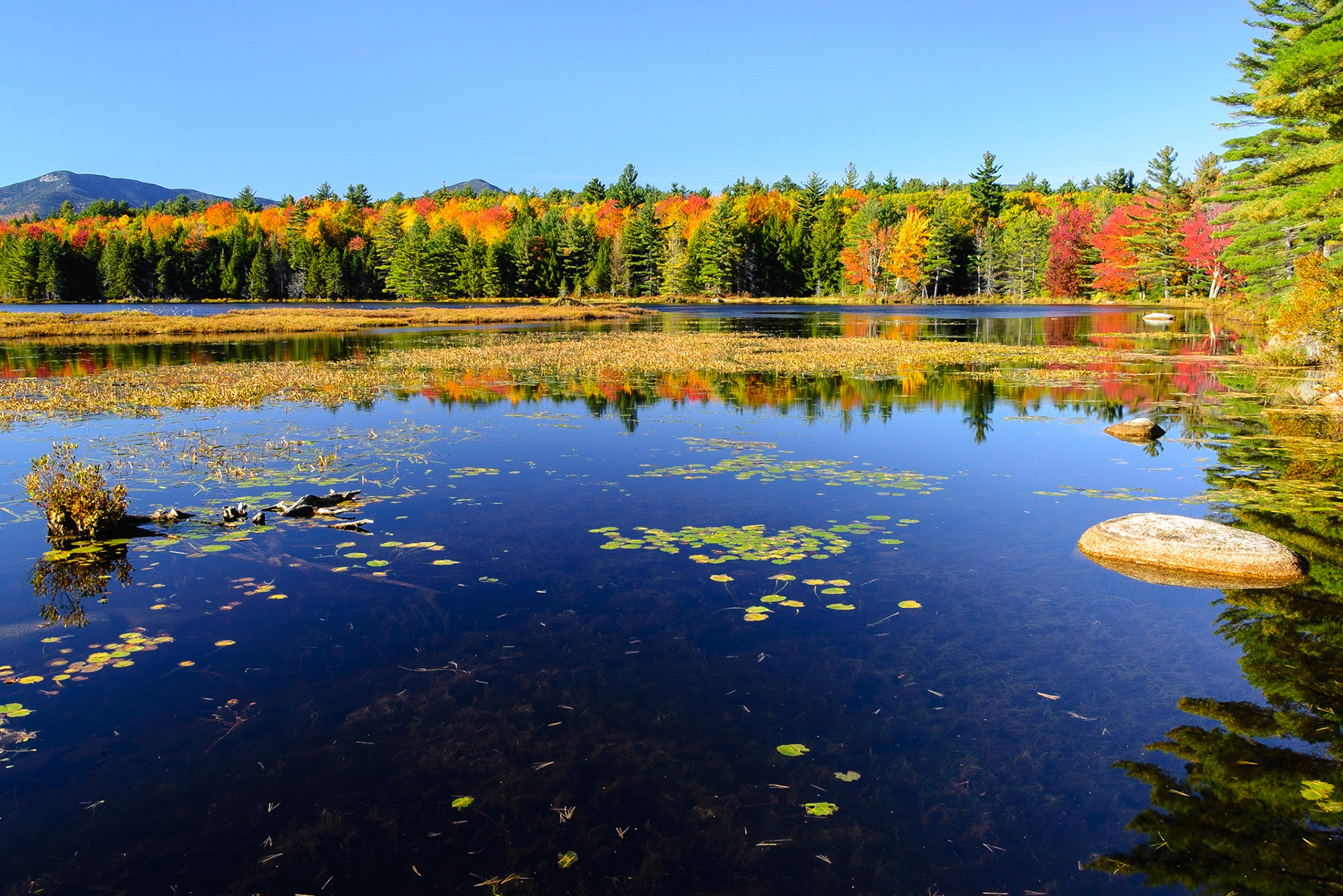 DTGD25171 Hemenway Pond, NH