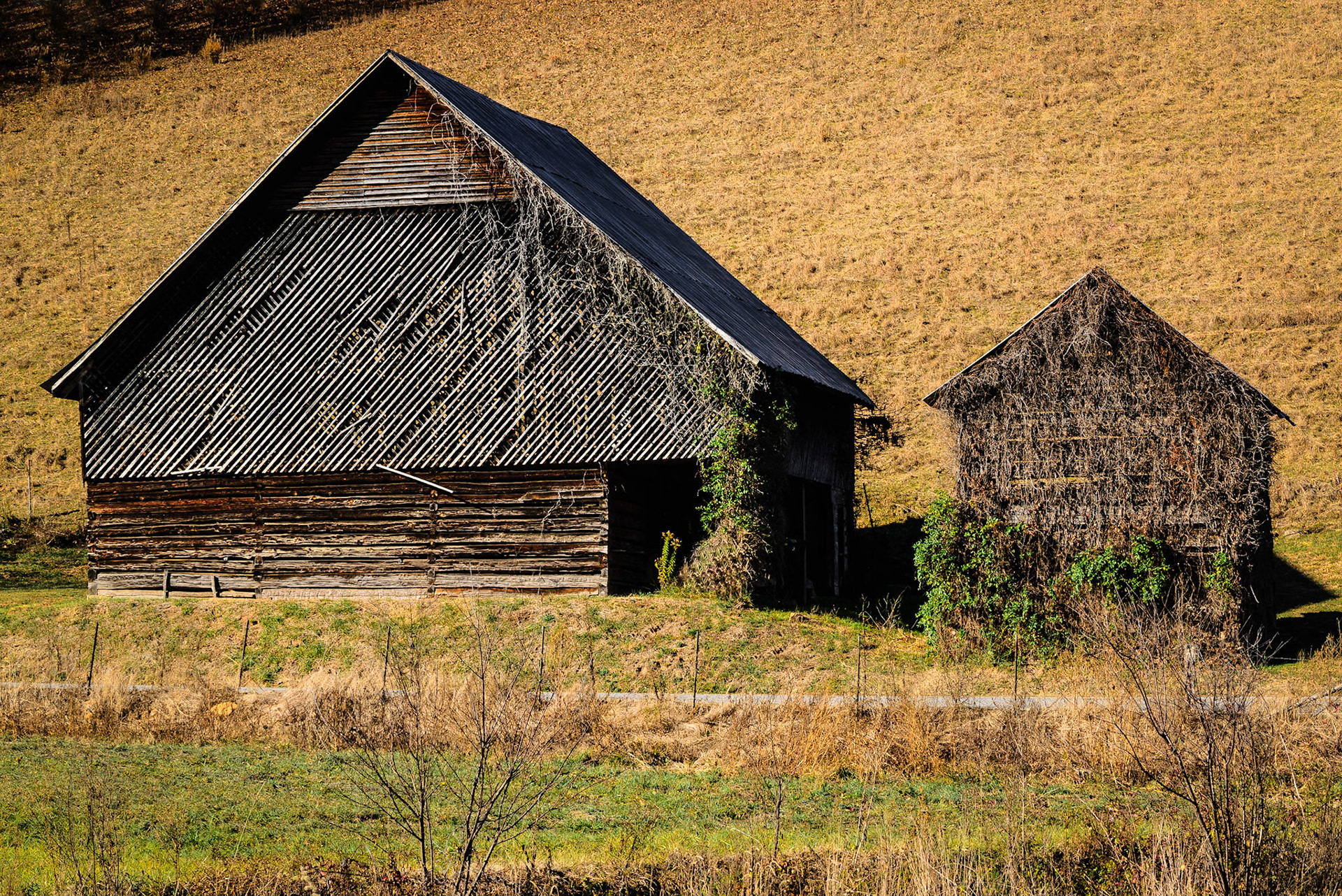 DTGD25430 D. Nelson Anderson Barns
