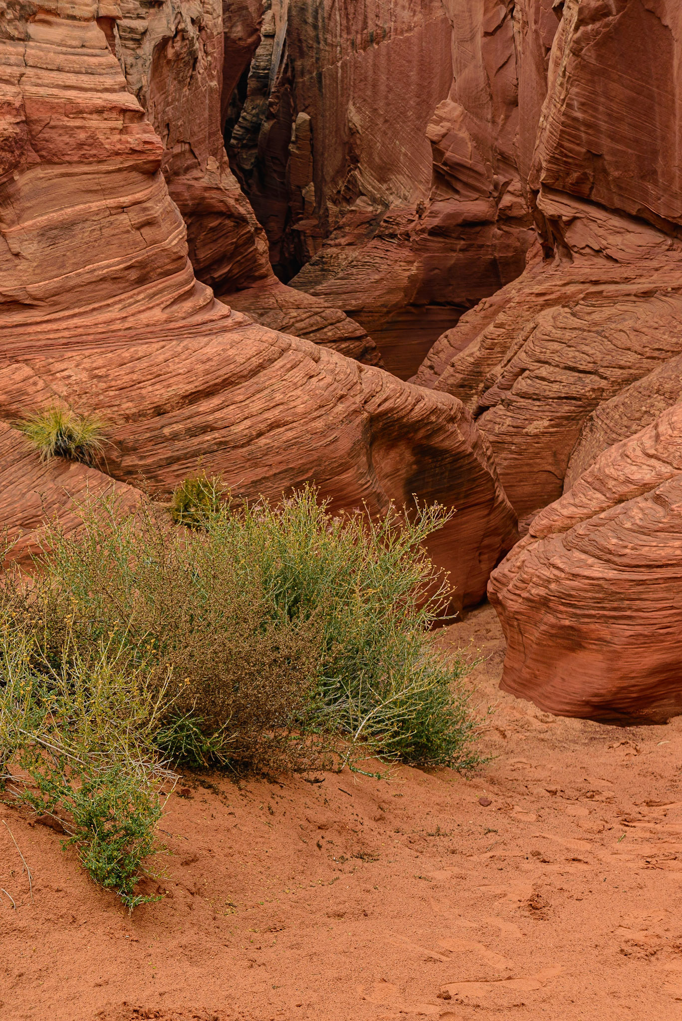 DTGD22614 Secret Canyon, North Entrance