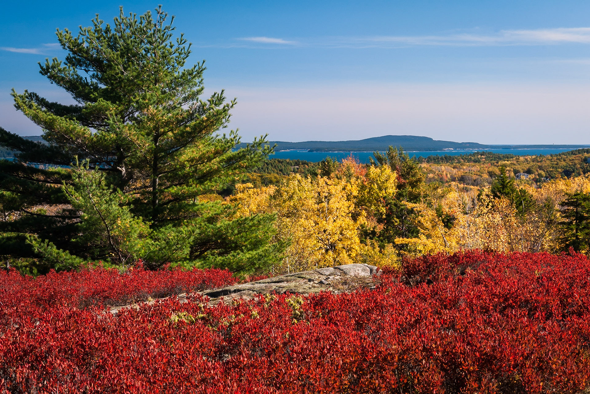 DTGD13701 Overlooking Frenchman Bay, Acadia, ME
