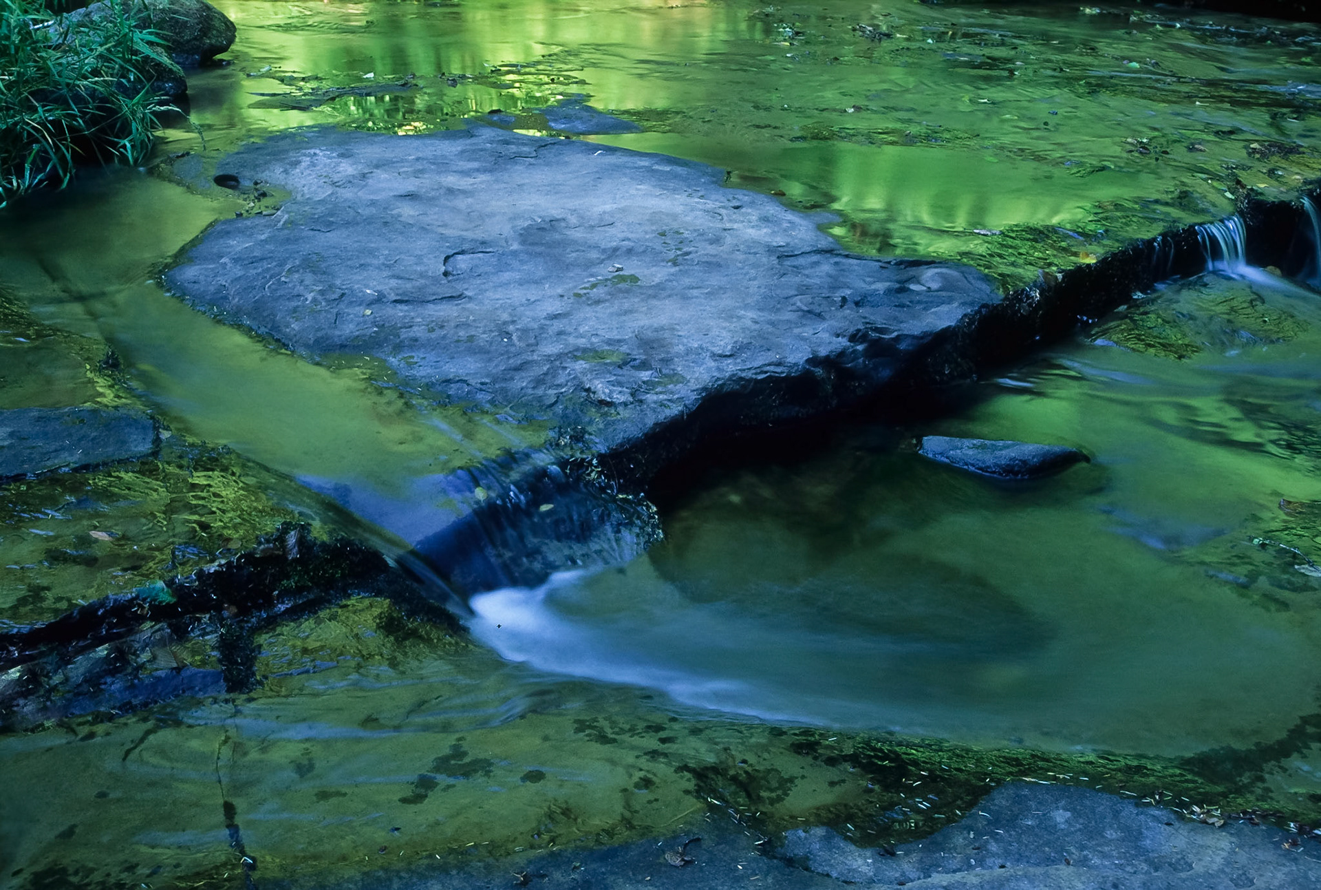 DTG06325 Sweet Creek Reflections